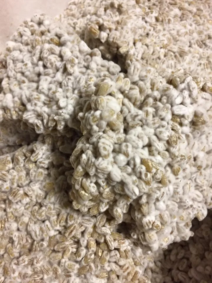 Koji has grown up well.