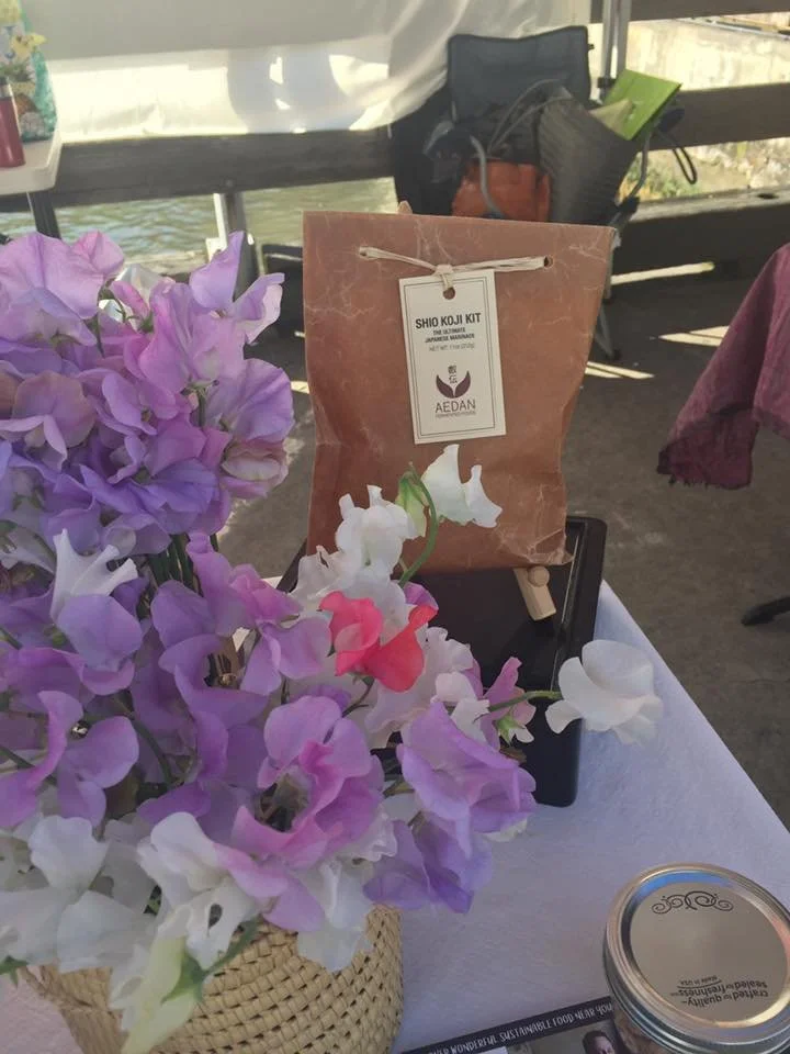 A beautiful sweet pea