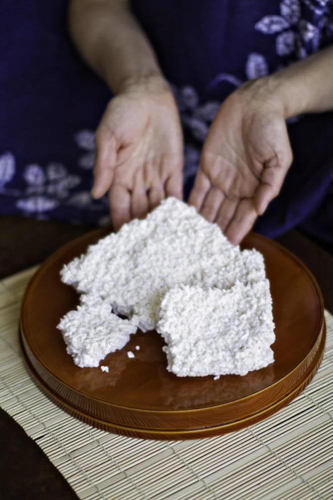 Koji workshop at the Healdsburg SHED on Aug 27th!