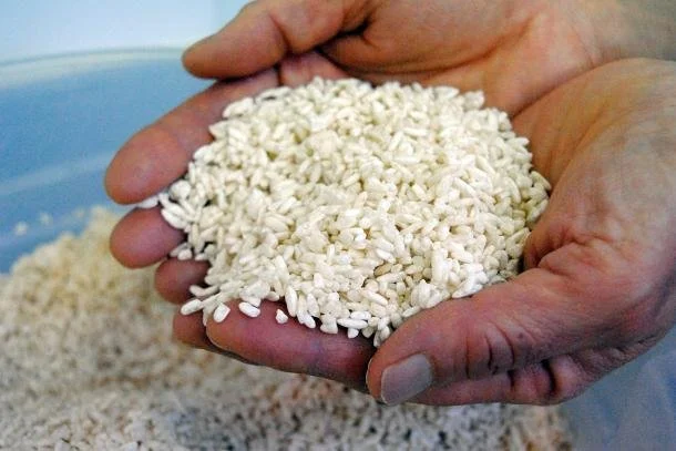 Come to learn about koji fermented products