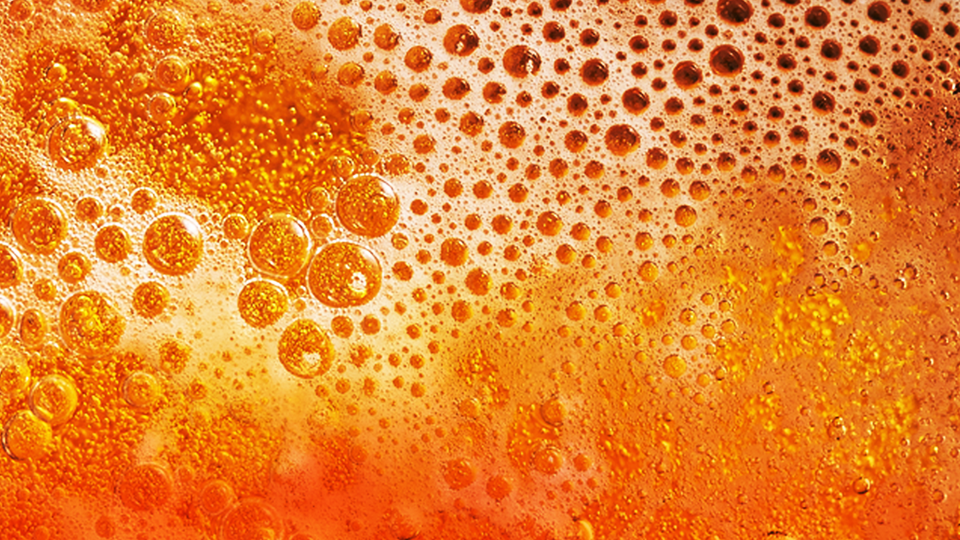 How-To: Fermentation NightLife!