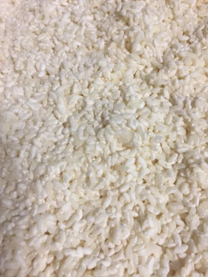 NightLife at the California Academy of Sciences