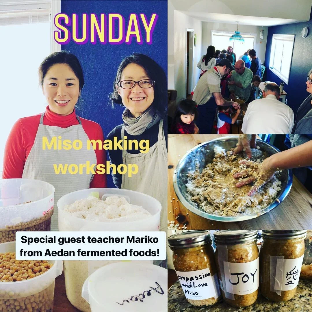 We had a miso making class at El Sobrante