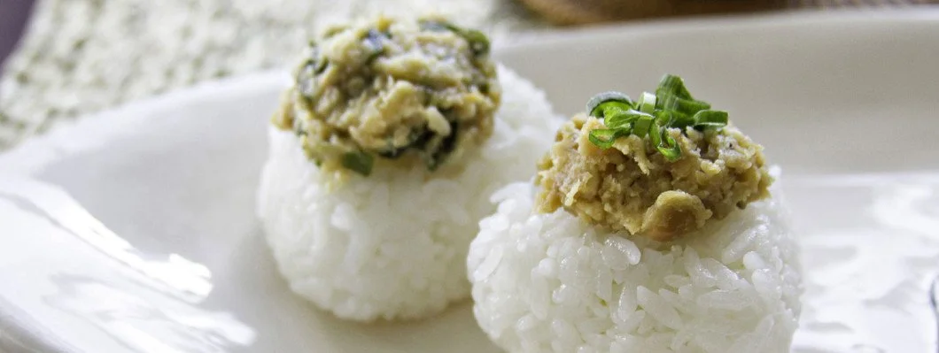 The Homemade Heart of Onigiri with Aedan &amp; ONIGILLY