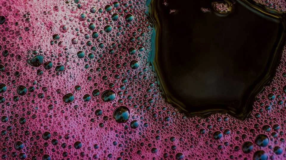 We will have a booth and a lecture on 9/6/2018 at California Academy of Sciences