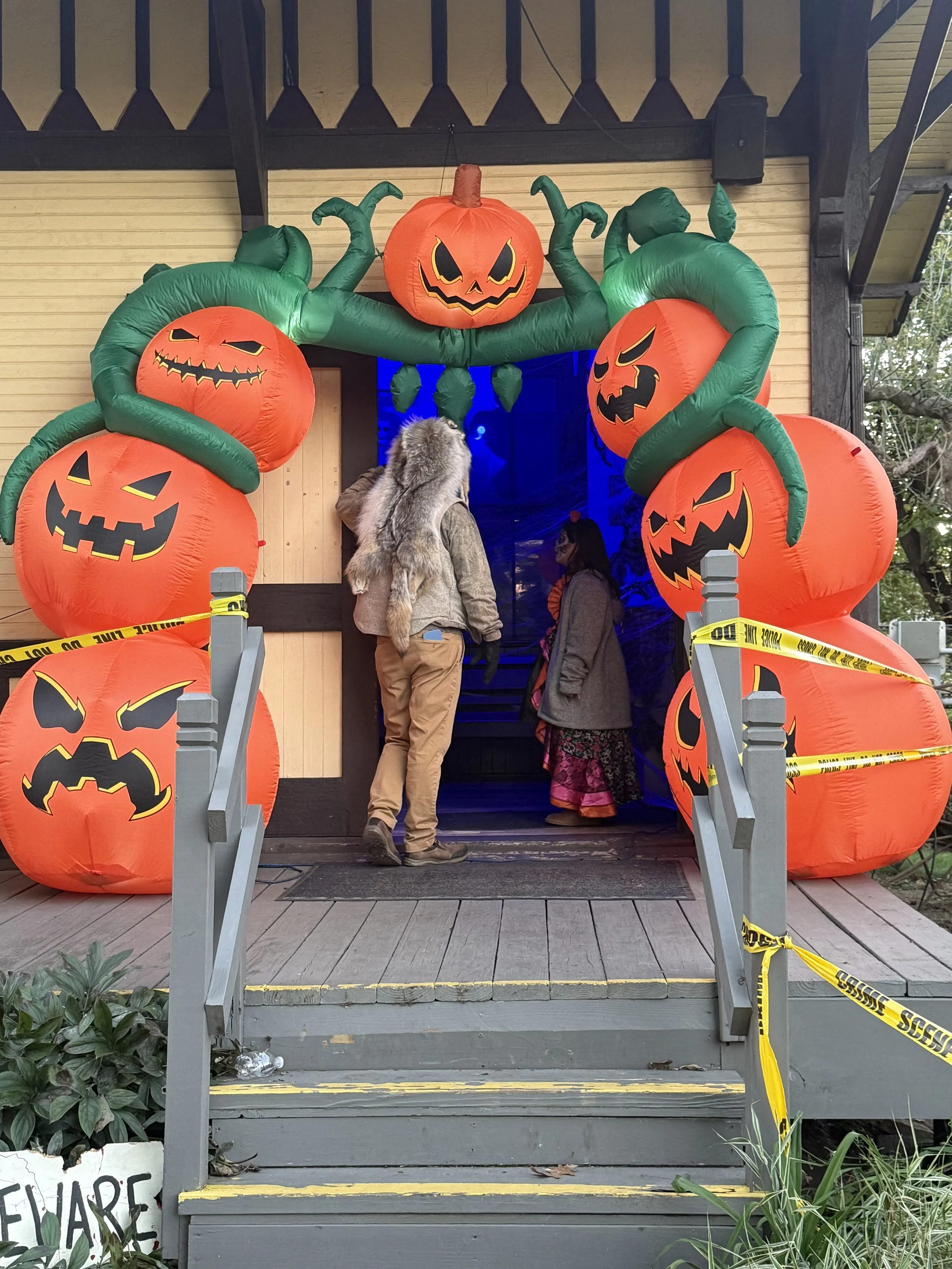 IMG_3724.jpeg