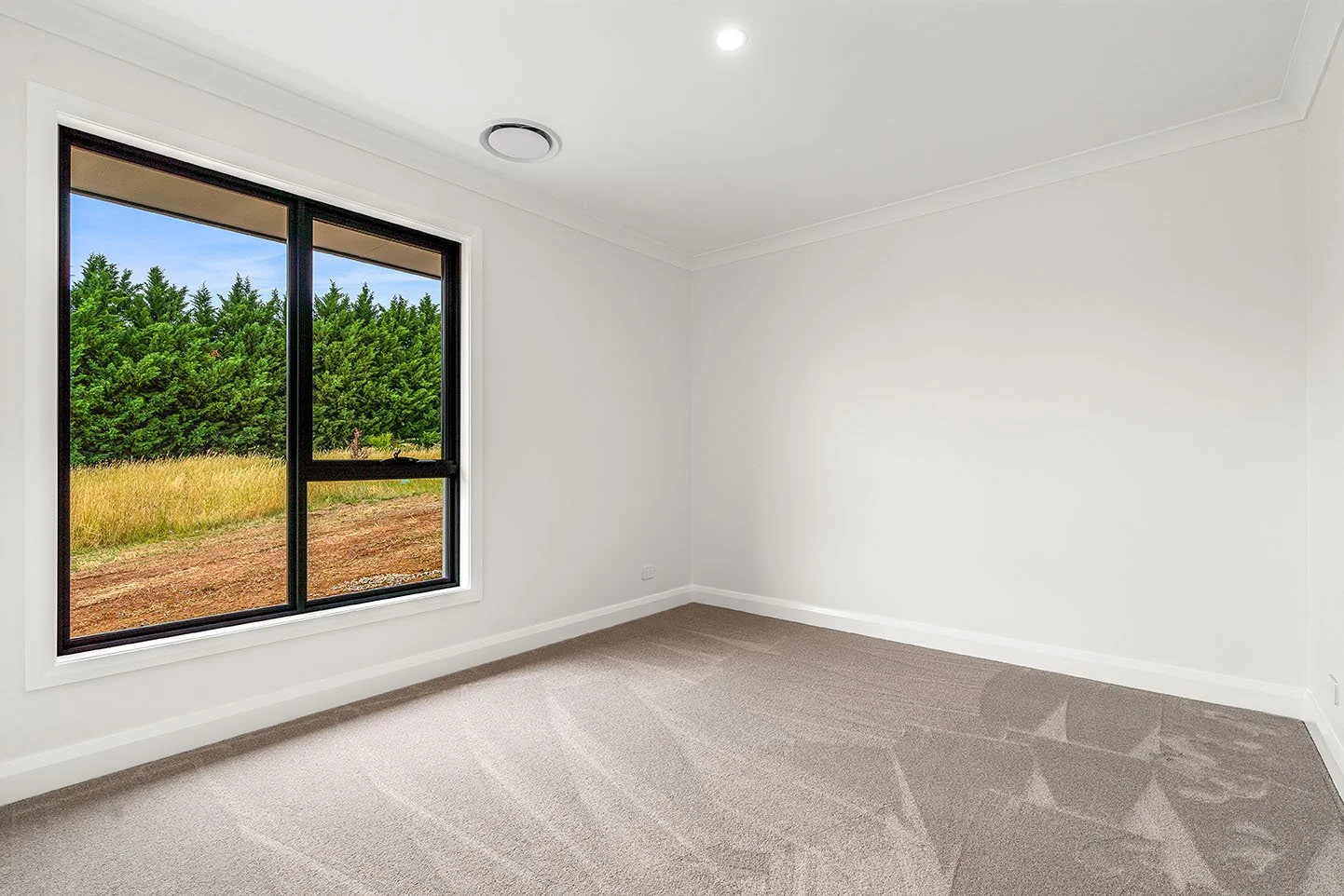 03_29 Kanzi Pl Orange_High Res.jpg