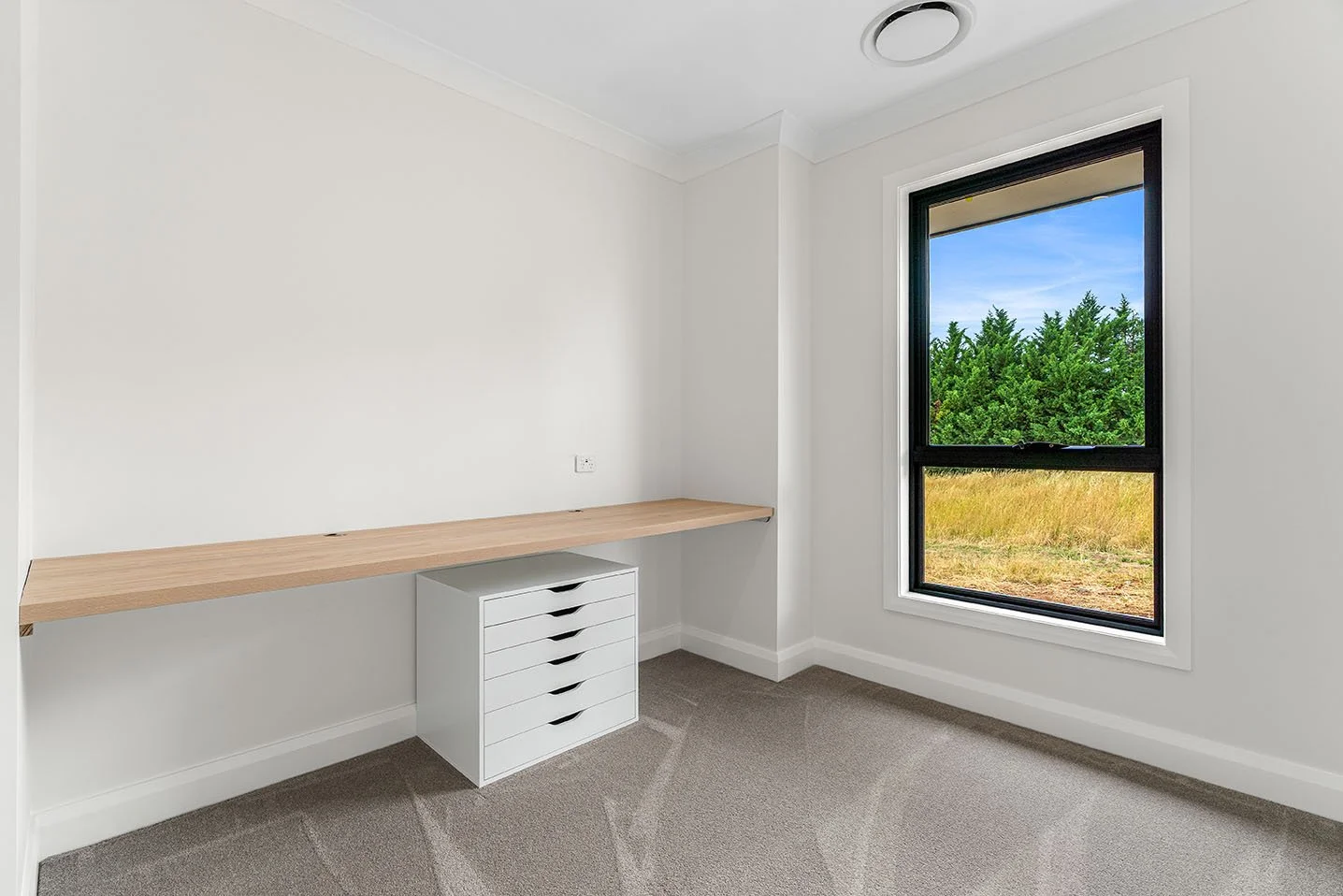 01_29 Kanzi Pl Orange_High Res.jpg