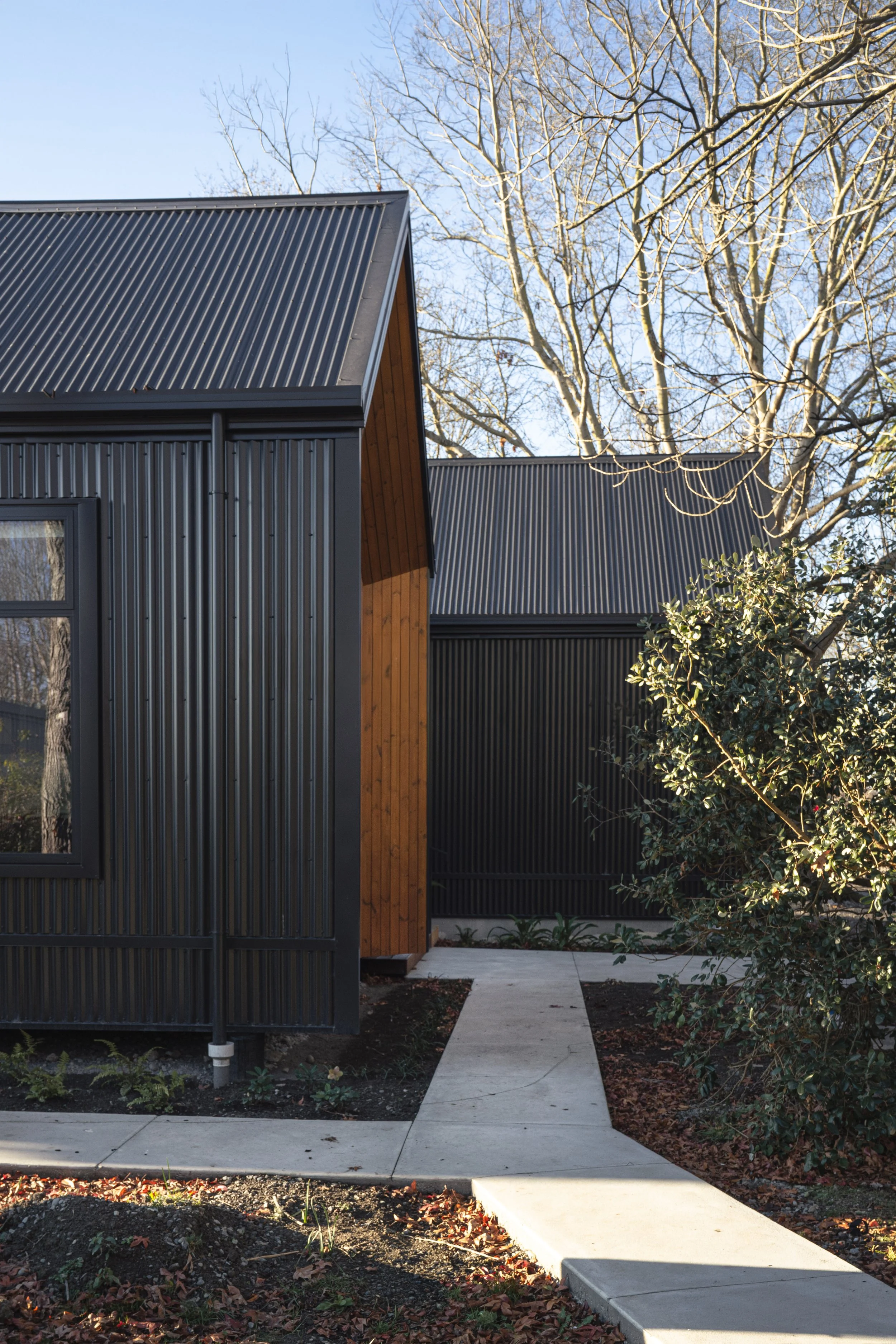 A modern house with black metal cladding and a metal roof, featuring large windows. The house is surrounded by outdoor landscaping, including a pathway, some bushes, and trees with no leaves, indicating a winter setting.
