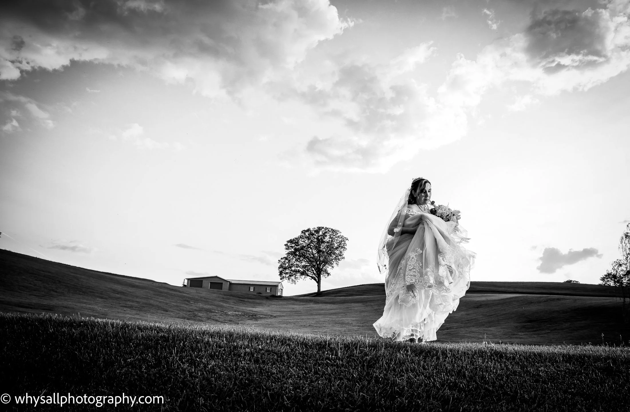 Bride silhouette
