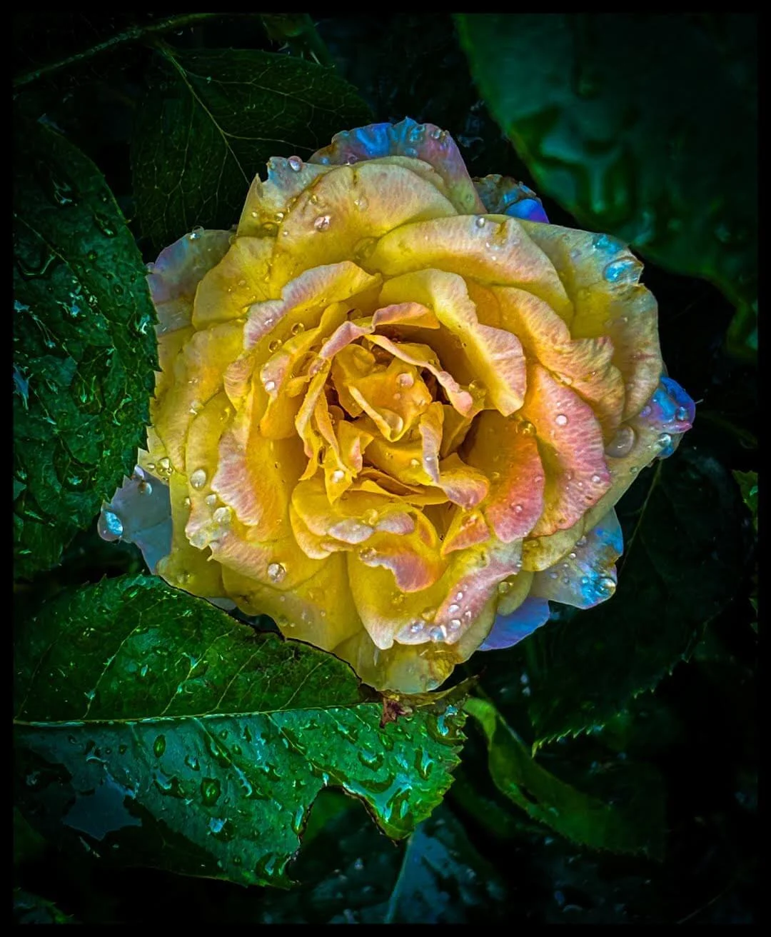 Fine Art Yellow Green flower