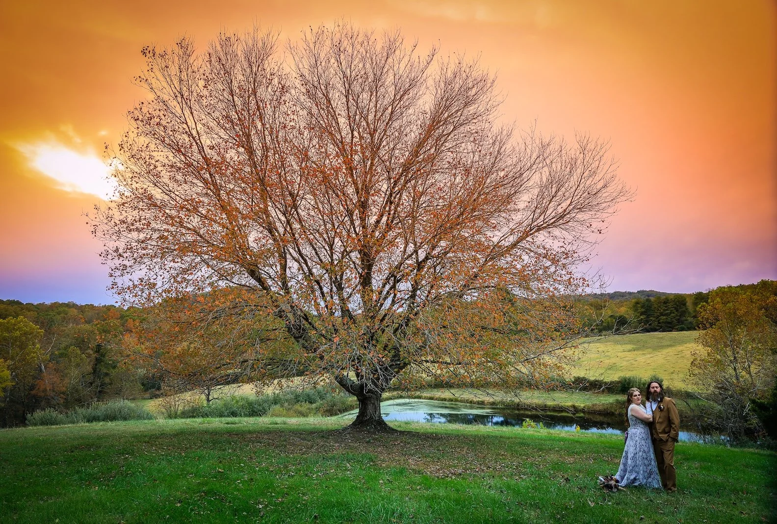 The Meadows Castleton, VA