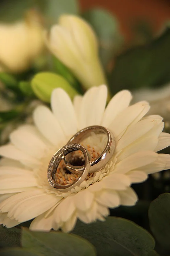 Wedding rings on daisy shot in London England