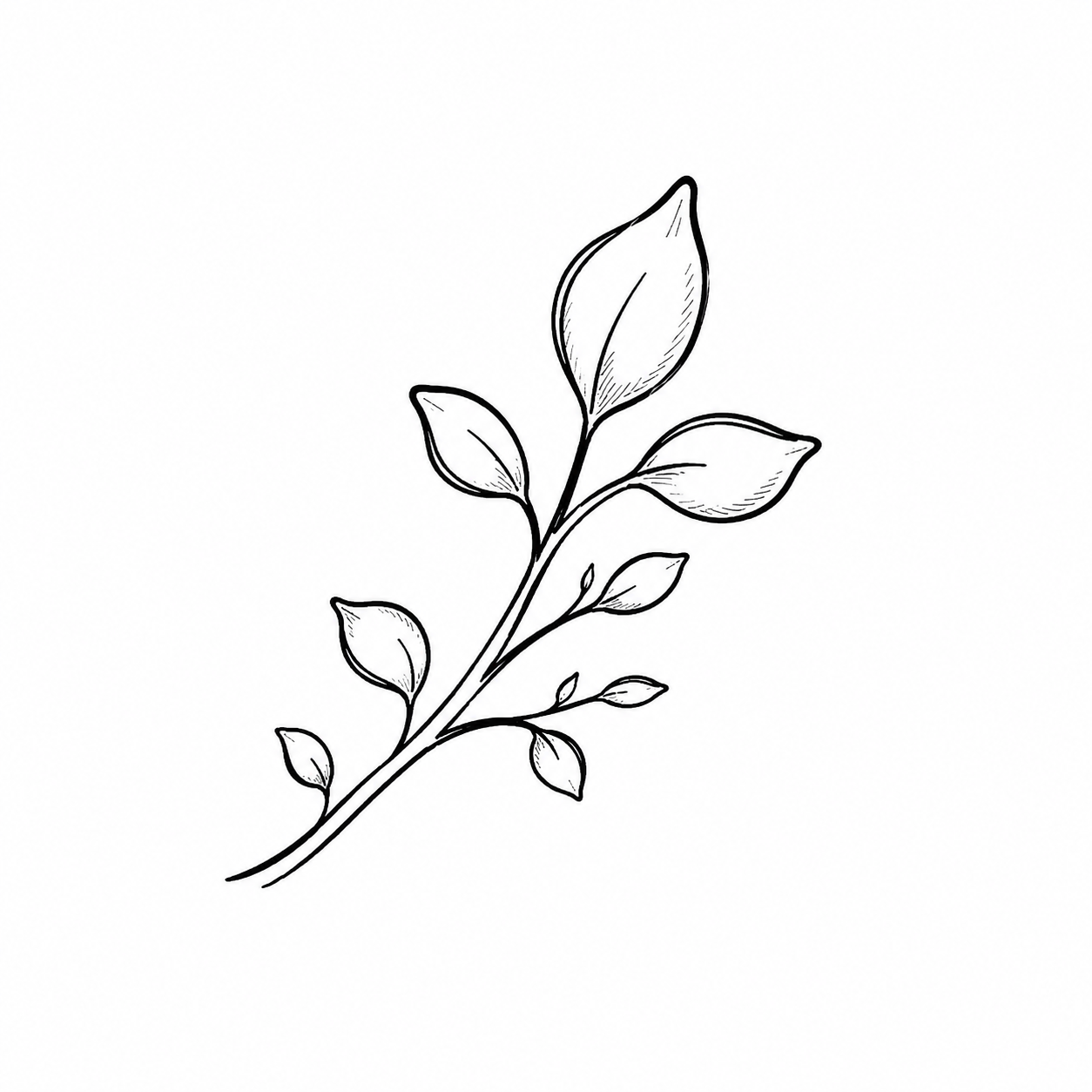 Hand-drawn branch with budding leaves representing growth, new beginnings, and child and youth counselling support at SOAR Counselling.