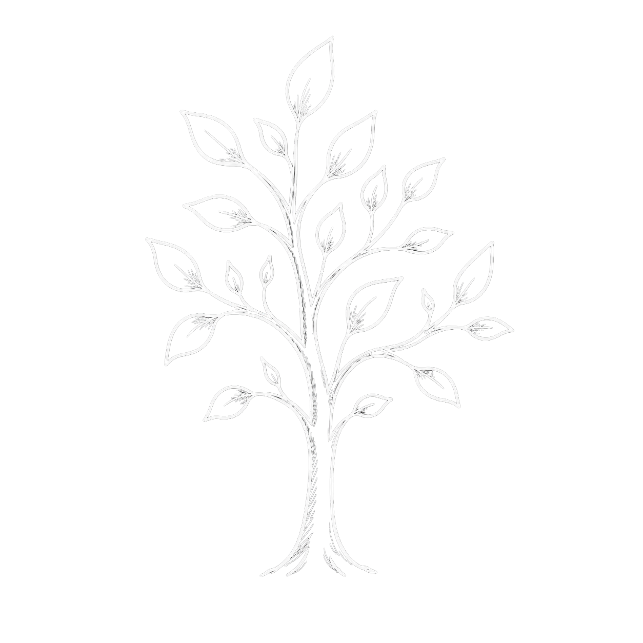 Hand-drawn young tree with varied leaves representing growth, independence, and young adult counselling support at SOAR Counselling.