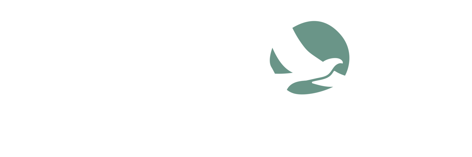 SOAR Child &amp; Family Counselling