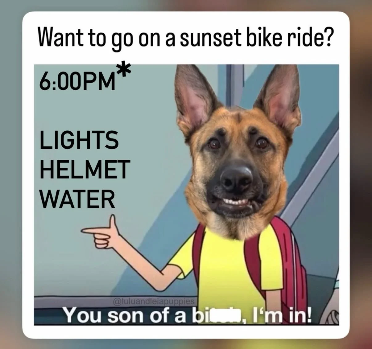 More daylight means more friends on the Sunset Cruise! 
Air up your tires, charge up your lights and head on over by 15 &lsquo;til so you have plenty of time. 
Check with your friends and see if they&rsquo;re coming too!
SEE YOU SOON!
.
#sunsetcruise