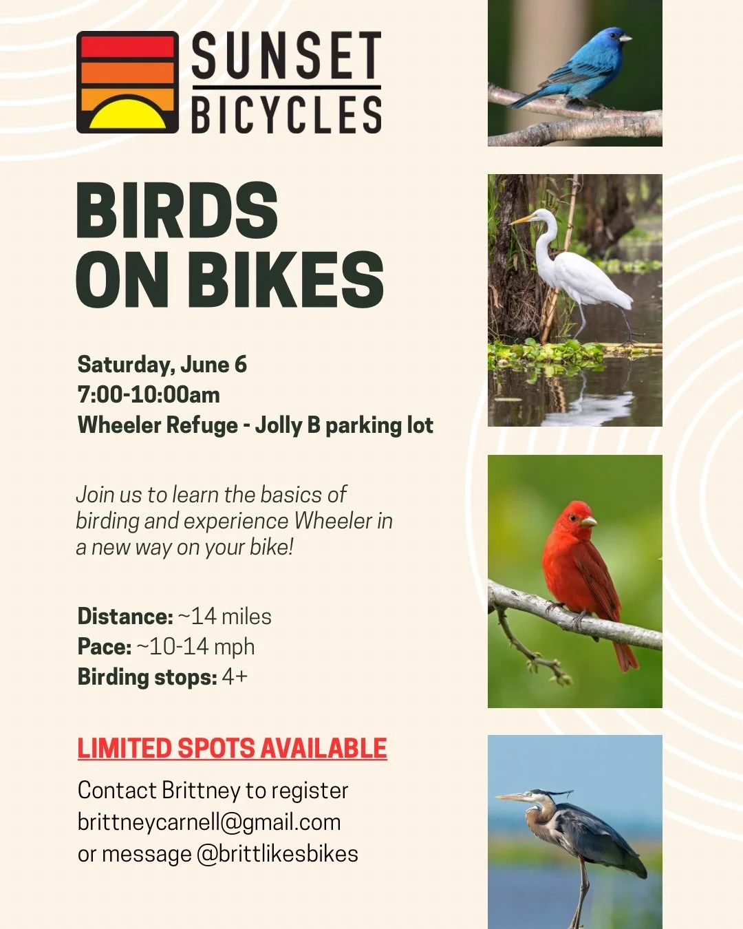 Want to learn more about a hobby you can easily do from your bike? Join us for our first Birds on Bikes ride! 🐦 🚲 

We will discuss the basics of birdwatching and learn some important skills before departing for a ~14 mile loop of Wheeler National 