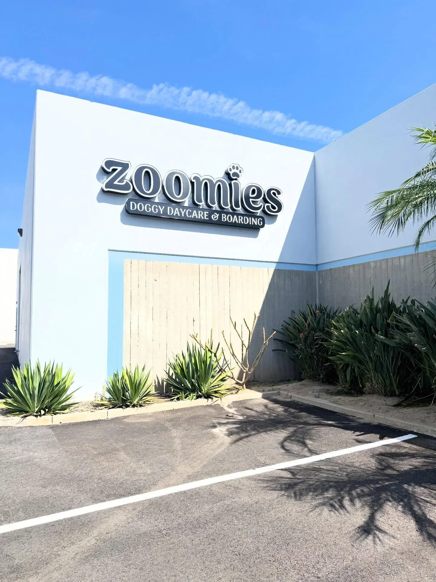 From Side Hustle to Main Hustle, Four years in the making. 

Taking the leap to opening a business has been the most exciting, yet scariest thing we&rsquo;ve ever done. It has been quite the journey. 

From landlords constantly telling us no to the u