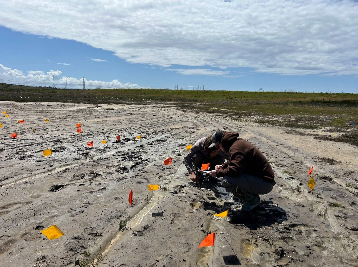 Undergraduate volunteers Moss and Dillon collecting data.