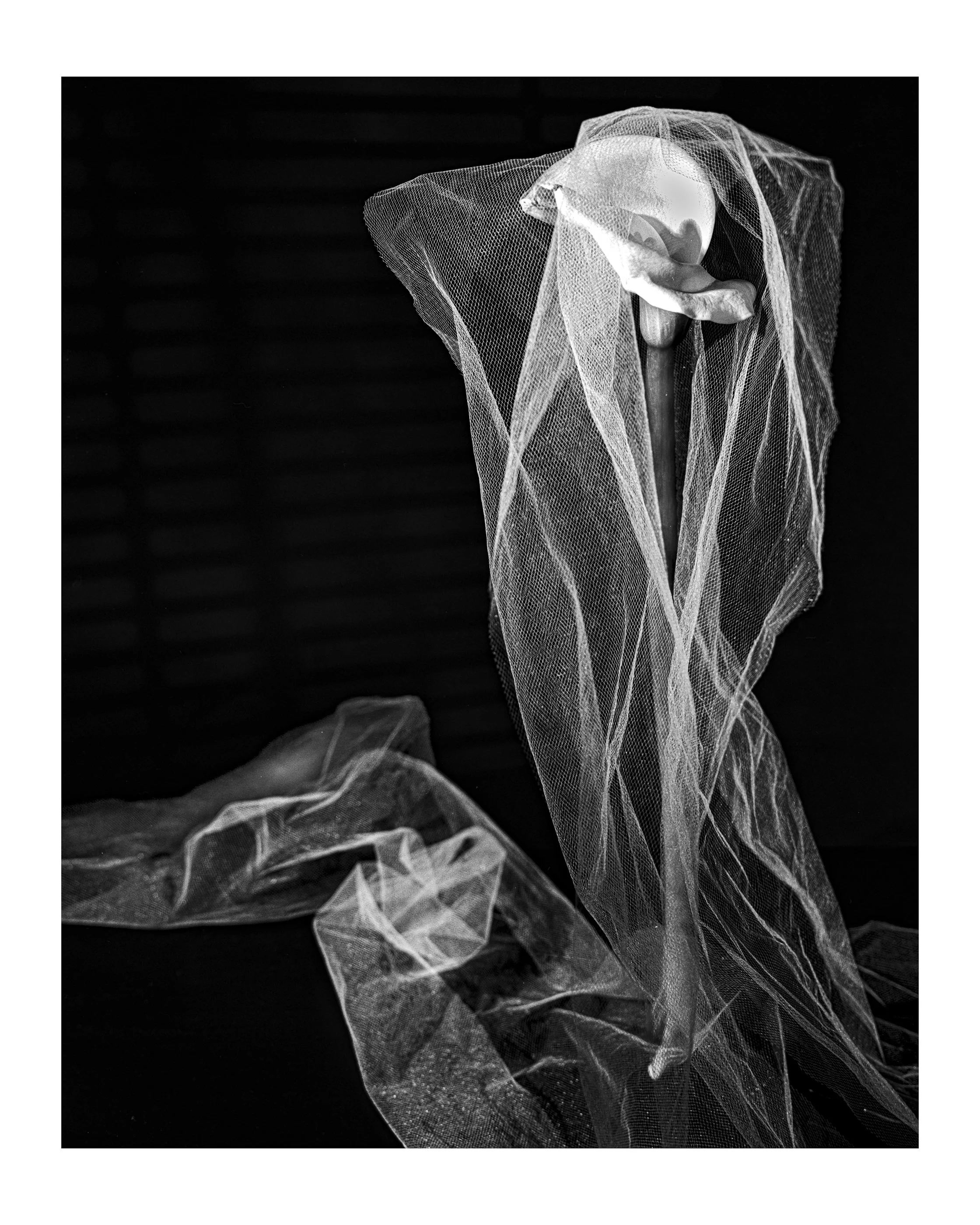 Flowers 05