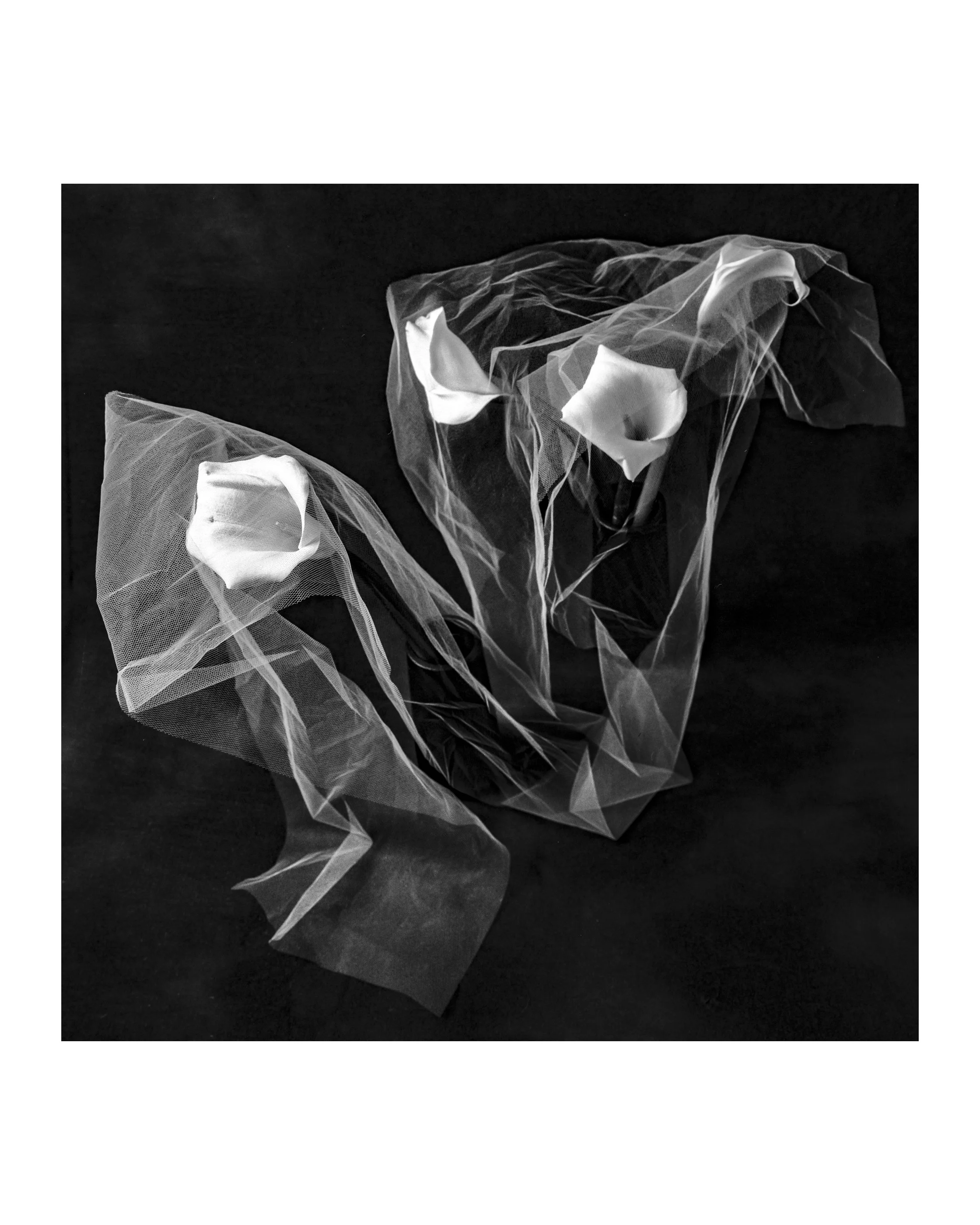 Flowers 06