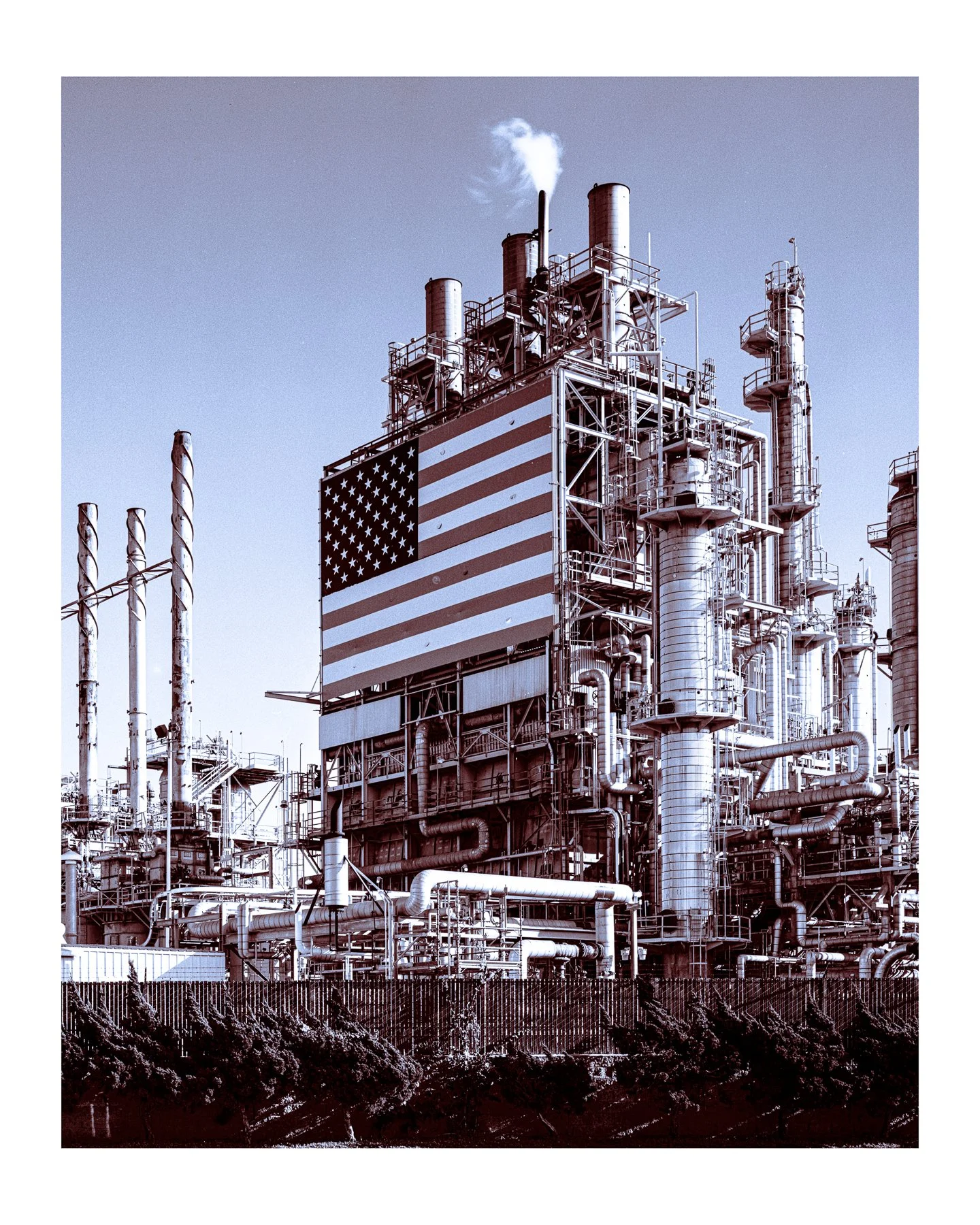 The Flag 08