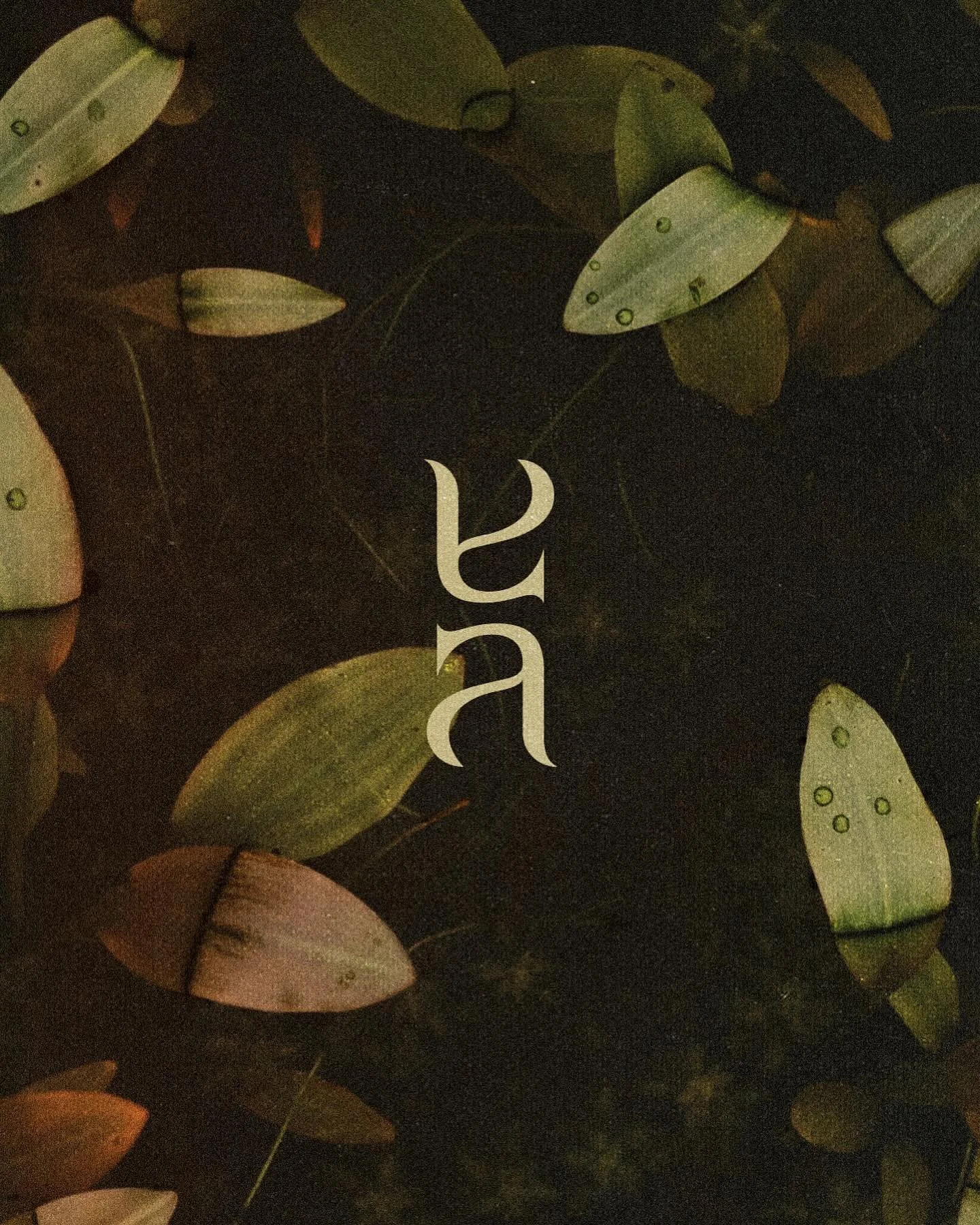 A little brand mark that didn&rsquo;t quite make the cut, but I am somewhat fond of. A little bit sharp. A little bit flowy. A quiet harmony. You&rsquo;ll live here now.