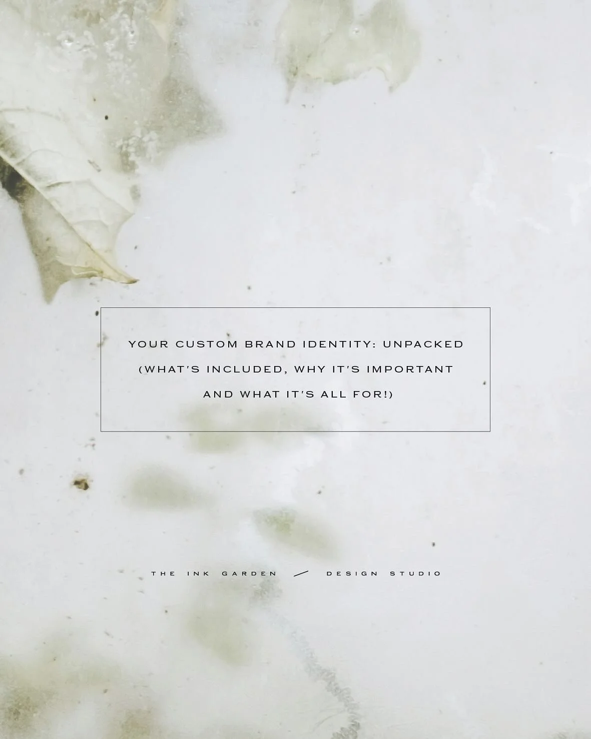 Investing in custom branding is a huge leap. It&rsquo;s a commitment of time and finances and a dedication to seeing your business thrive when that still feels a little precarious.

Is the investment in custom design all that important?

What do you 