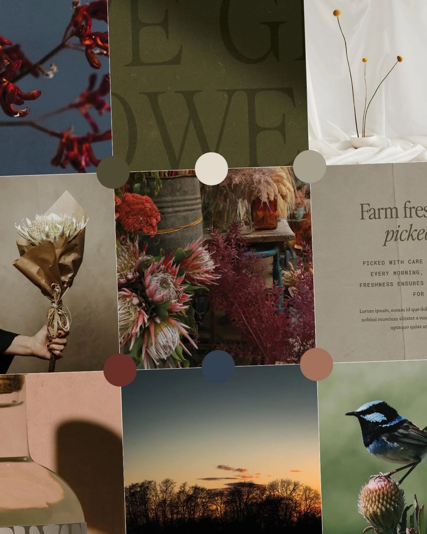Busy busy behind the scenes with some truly inspiring client briefs on my agenda (can anyone say flower farm 🙈). Concepts out yesterday for this project, with my schedule to follow already stacked with a holistic skin mentor, a beauty salon and an a