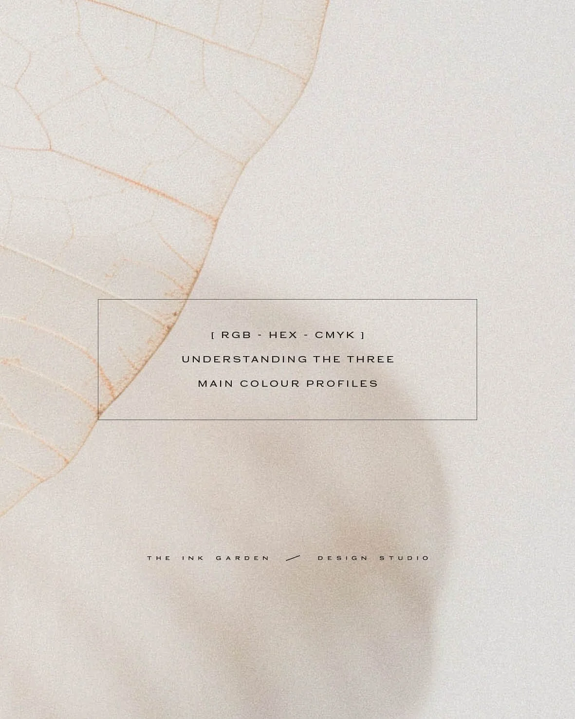 I posted a poll on my socials late last year and the general response was that you needed more guidance and tips for establishing your own branding. Whether DIY or professionally created, a lot of the foundations are still the same.

Now we&rsquo;ve 