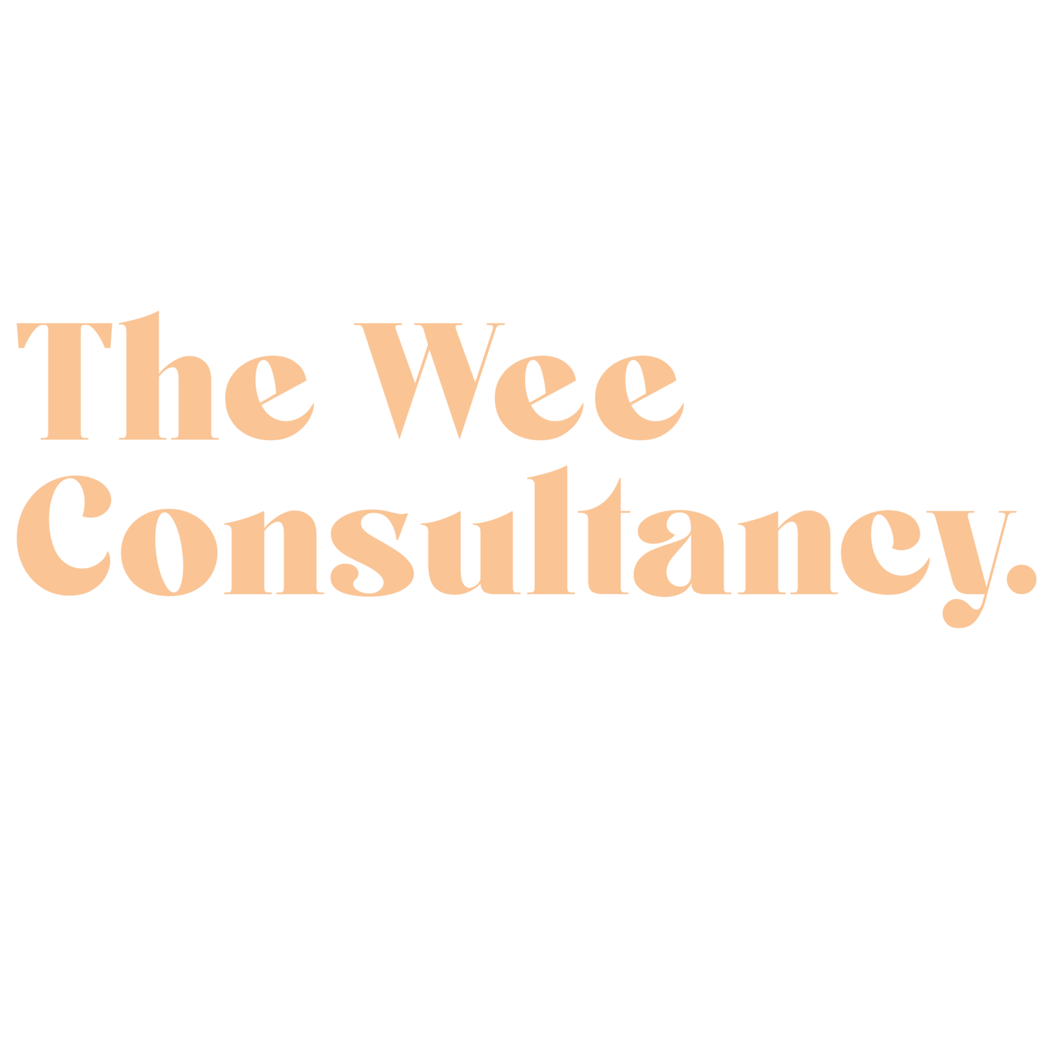 The Wee Consultancy