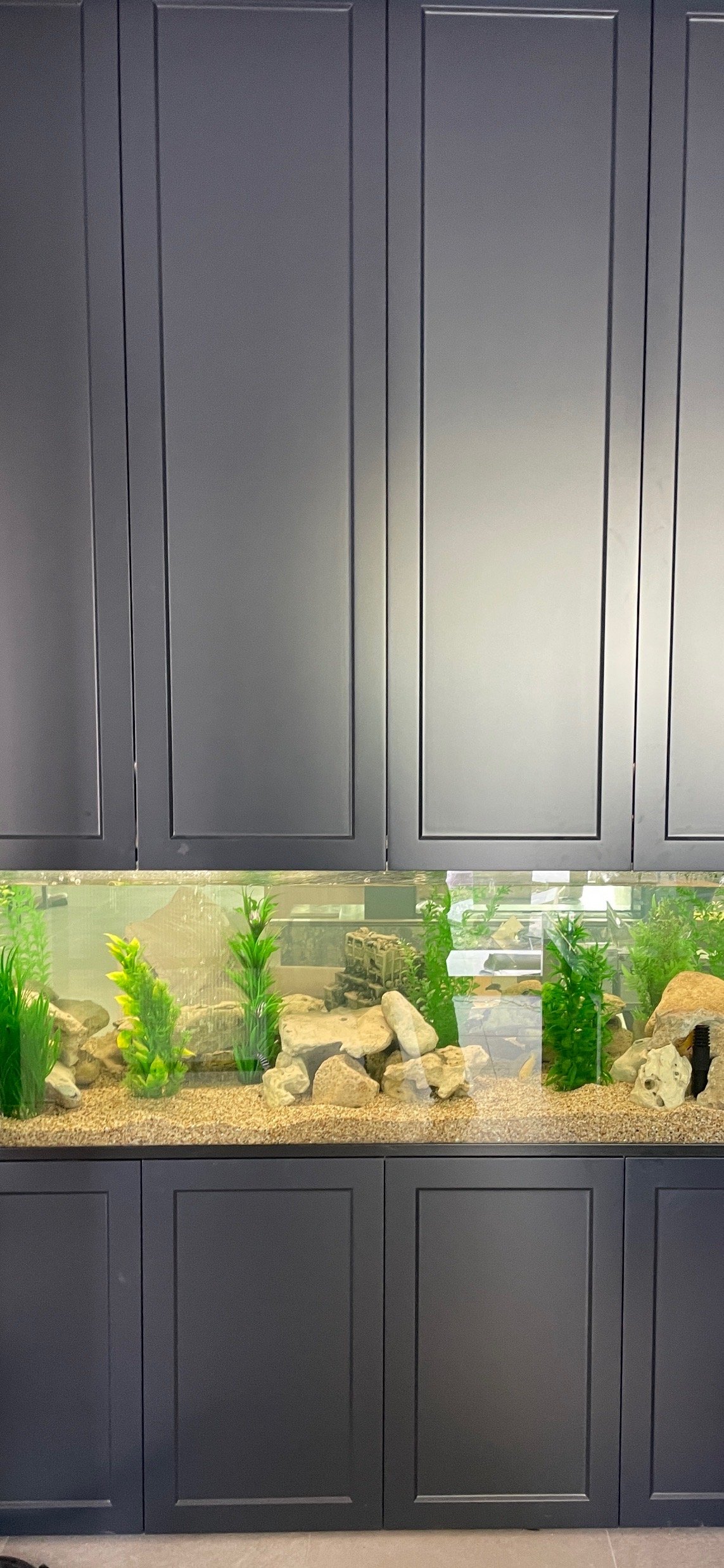 Aquarium1.jpg