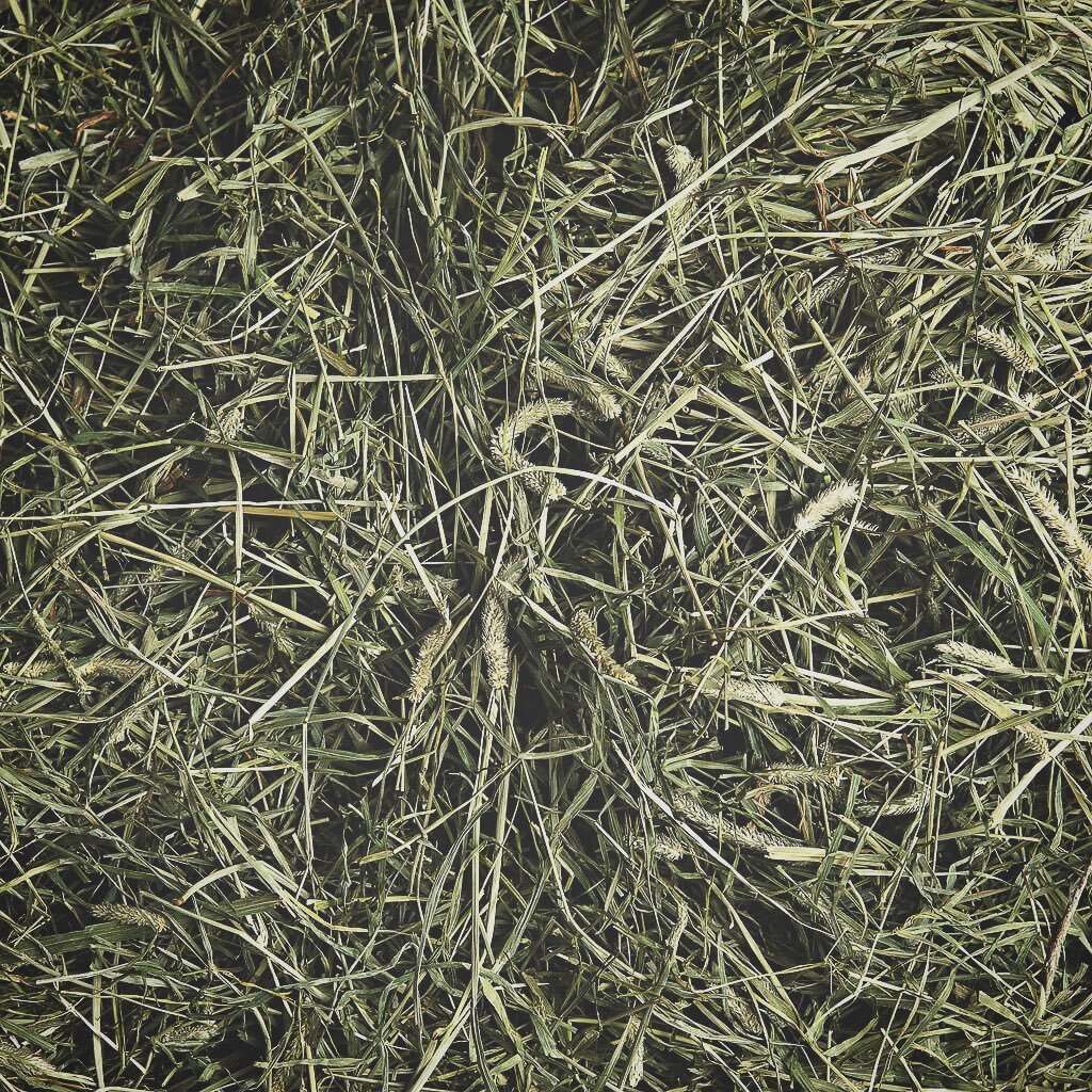 Do you know the scent of fresh dried hay?
Do you know the wetness of the soil beneath your feet?