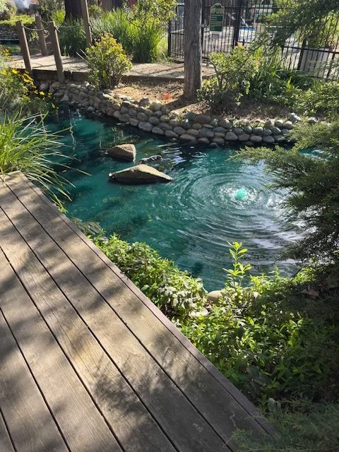 975 Fulton Ave #487, Sacramento, CA 95825 - ONE BEDROOM