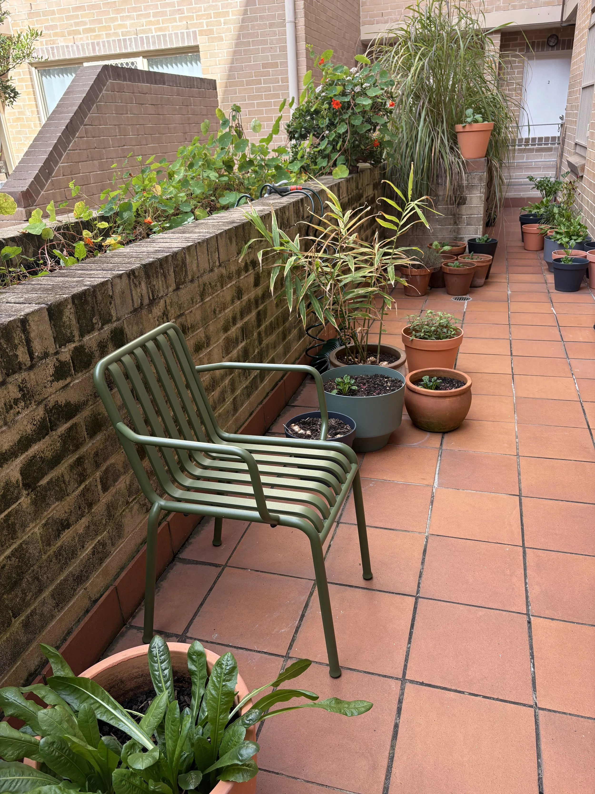 Apartment garden’s magic