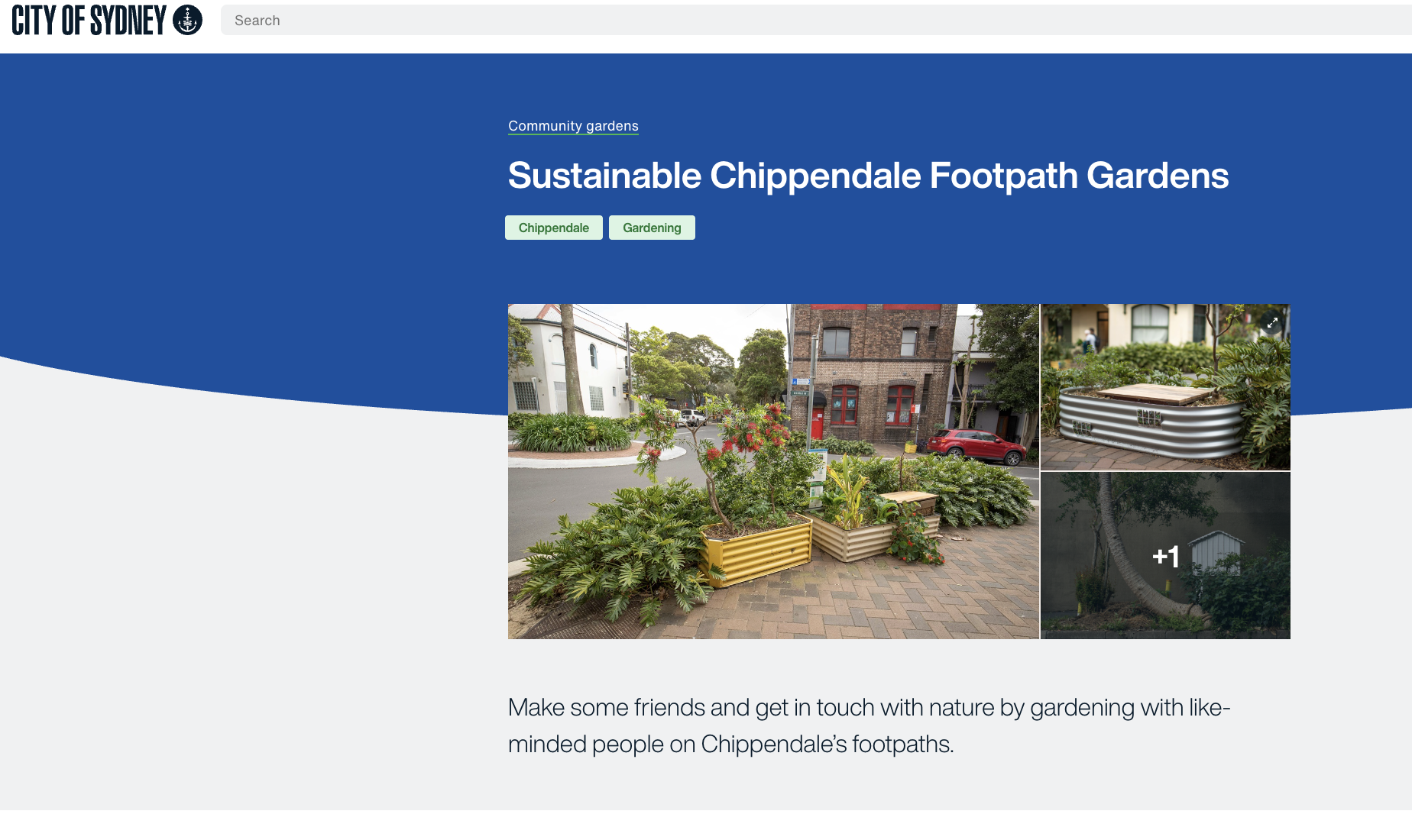 Sydney residents love footpath gardens