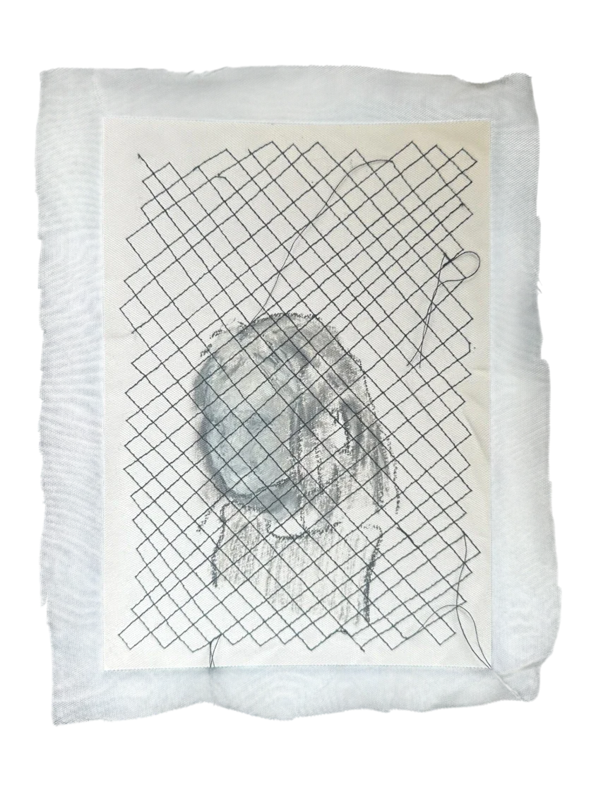 MEISJE TOCH
2026
Oil pastel and oil on paper, with tulle sewn over it
23 × 16.8 cm