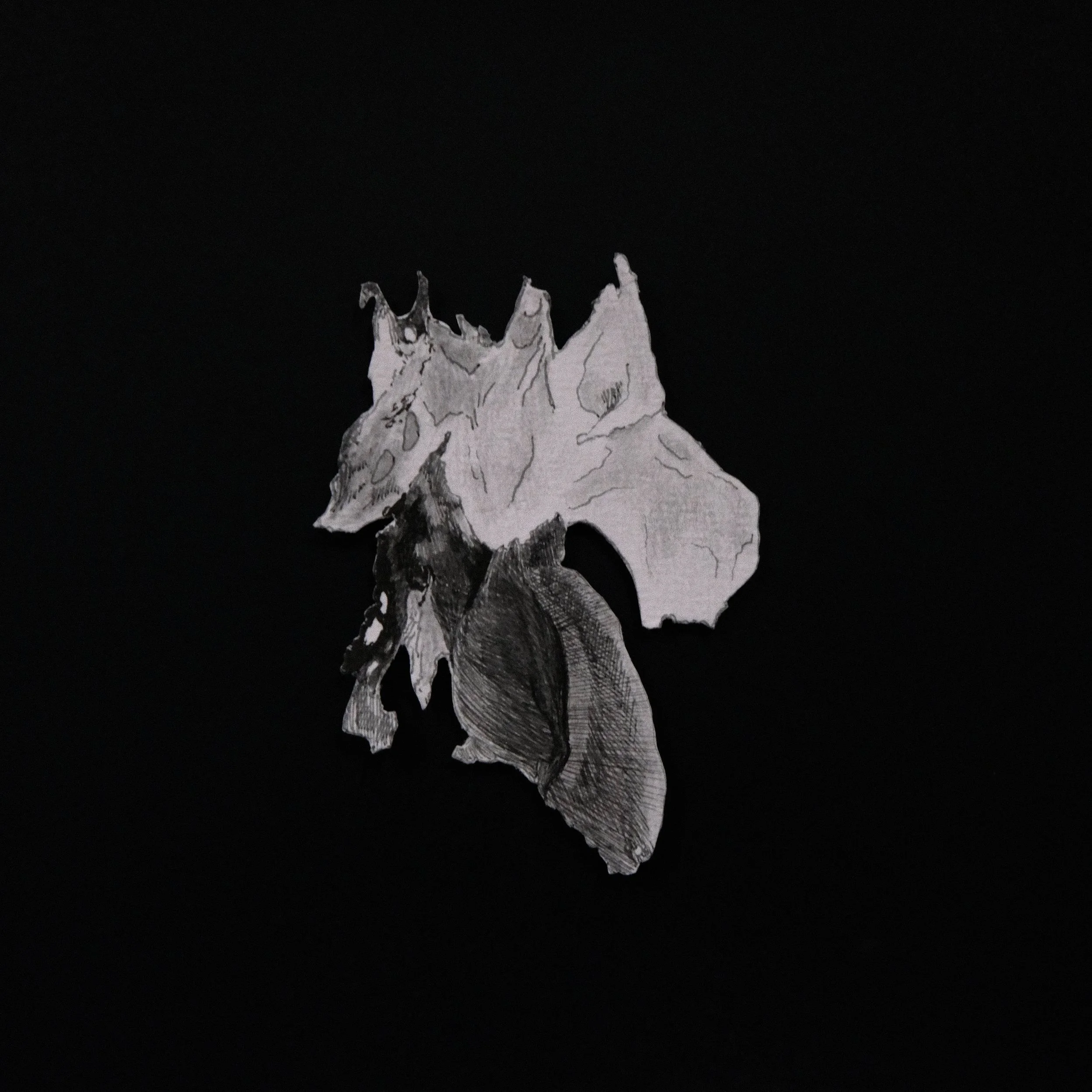 "Particularities" 2/3
Cut-out paper with pencil and pen 
9 x 9 cm
2024