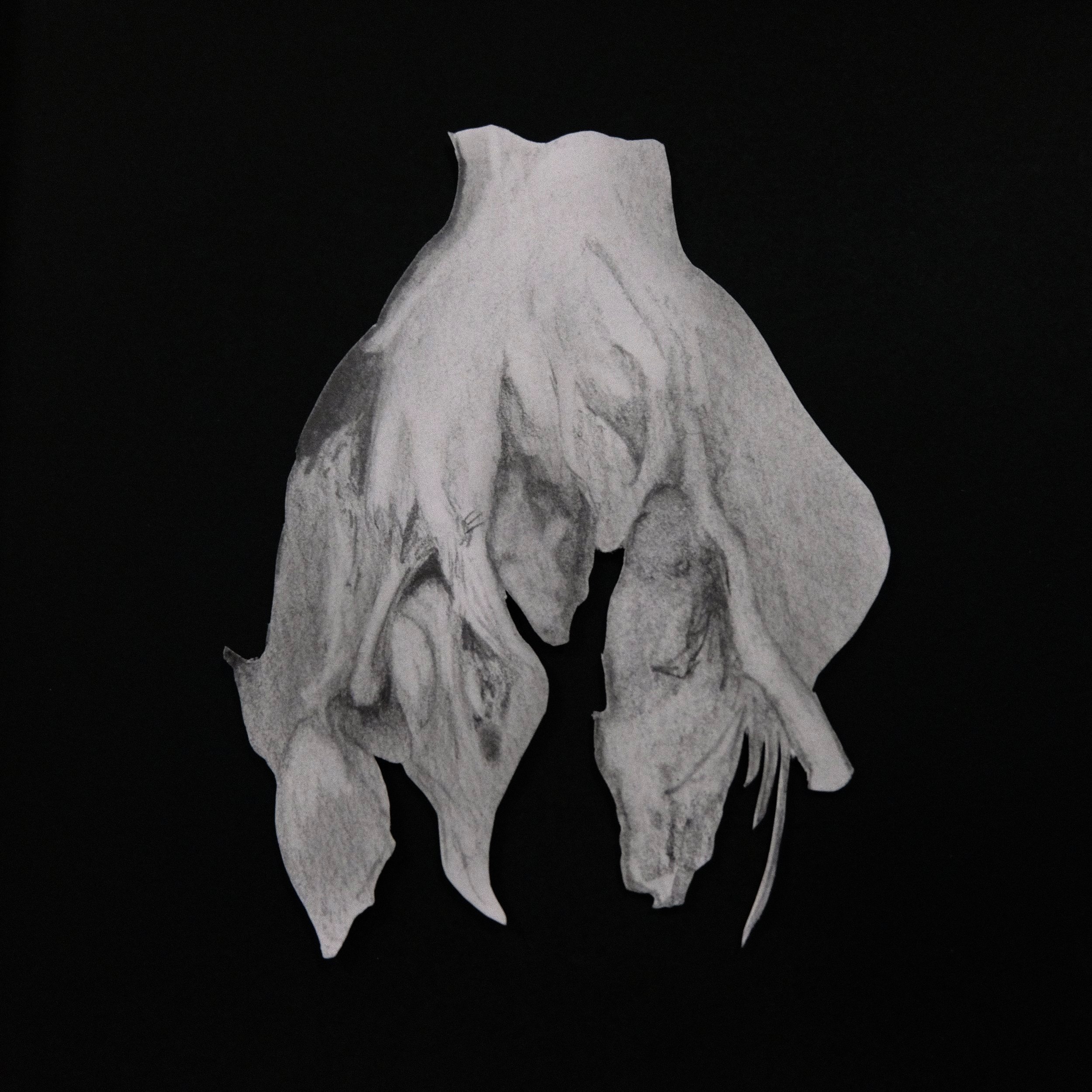 "Particularities" 3/3
Cut-out paper with pencil and pen 
9 x 9 cm
2024
