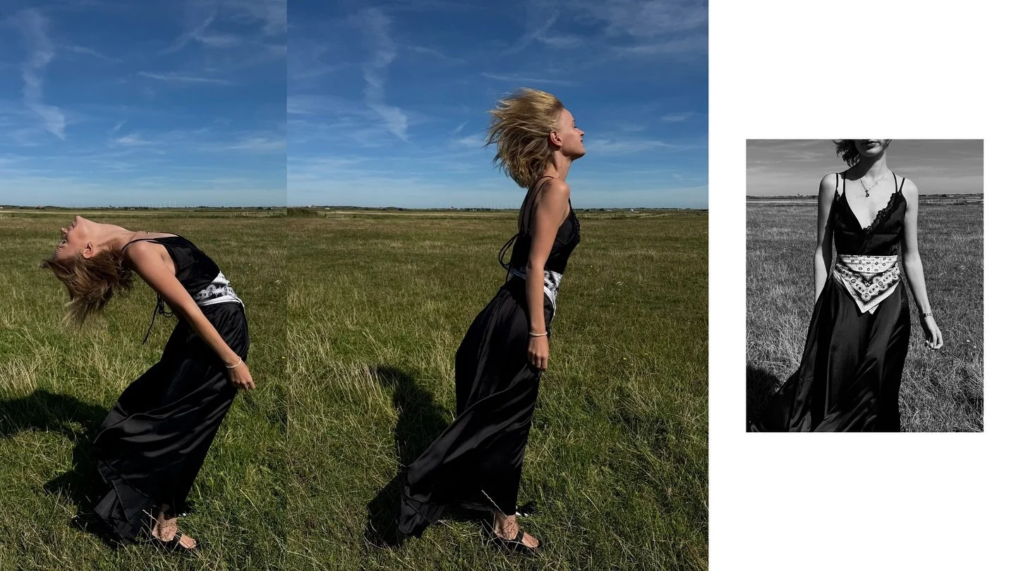 Handkerchiefs and swan companions ⚓️