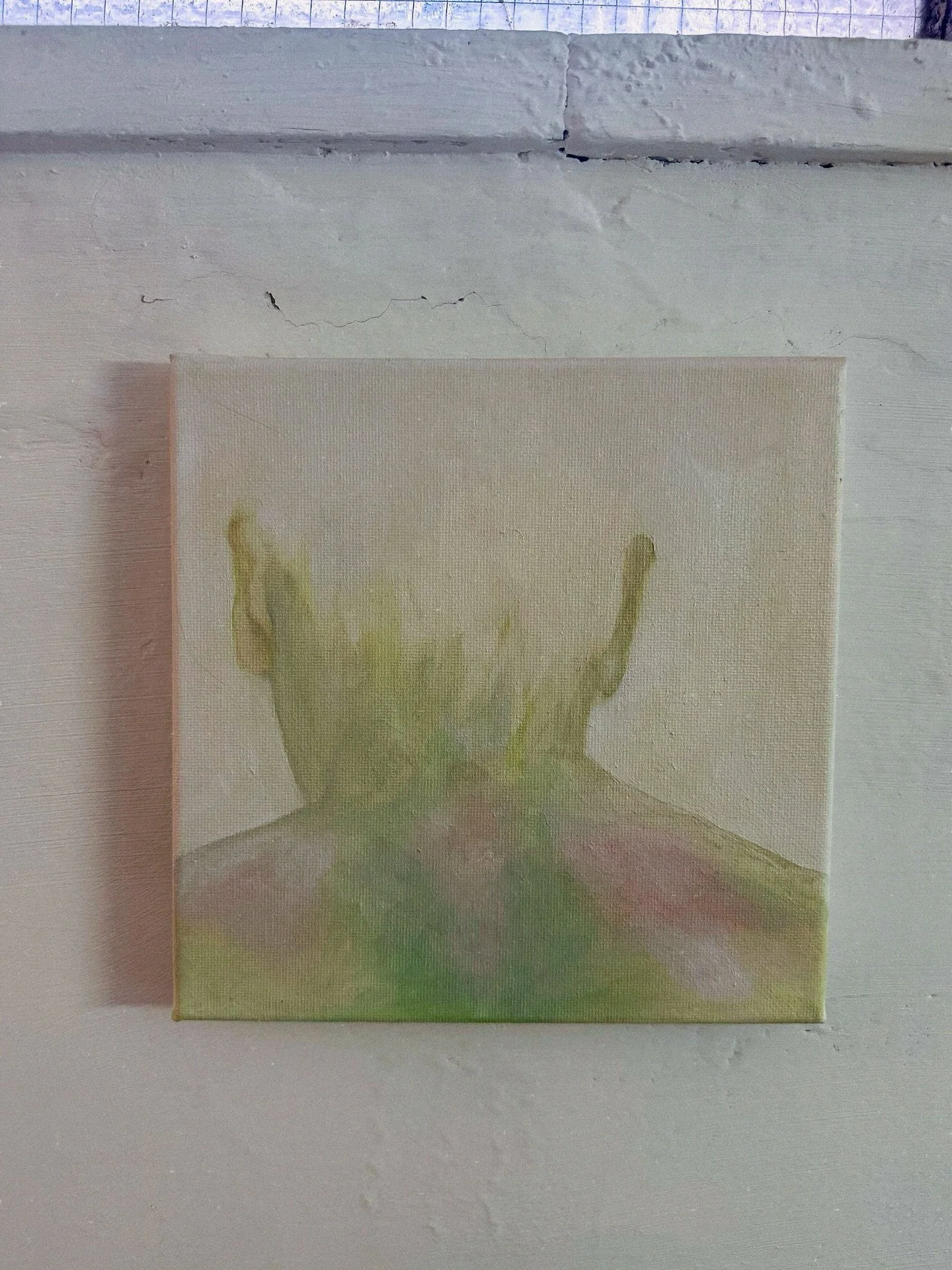 Nekkenvel en nietnaakte (kat)