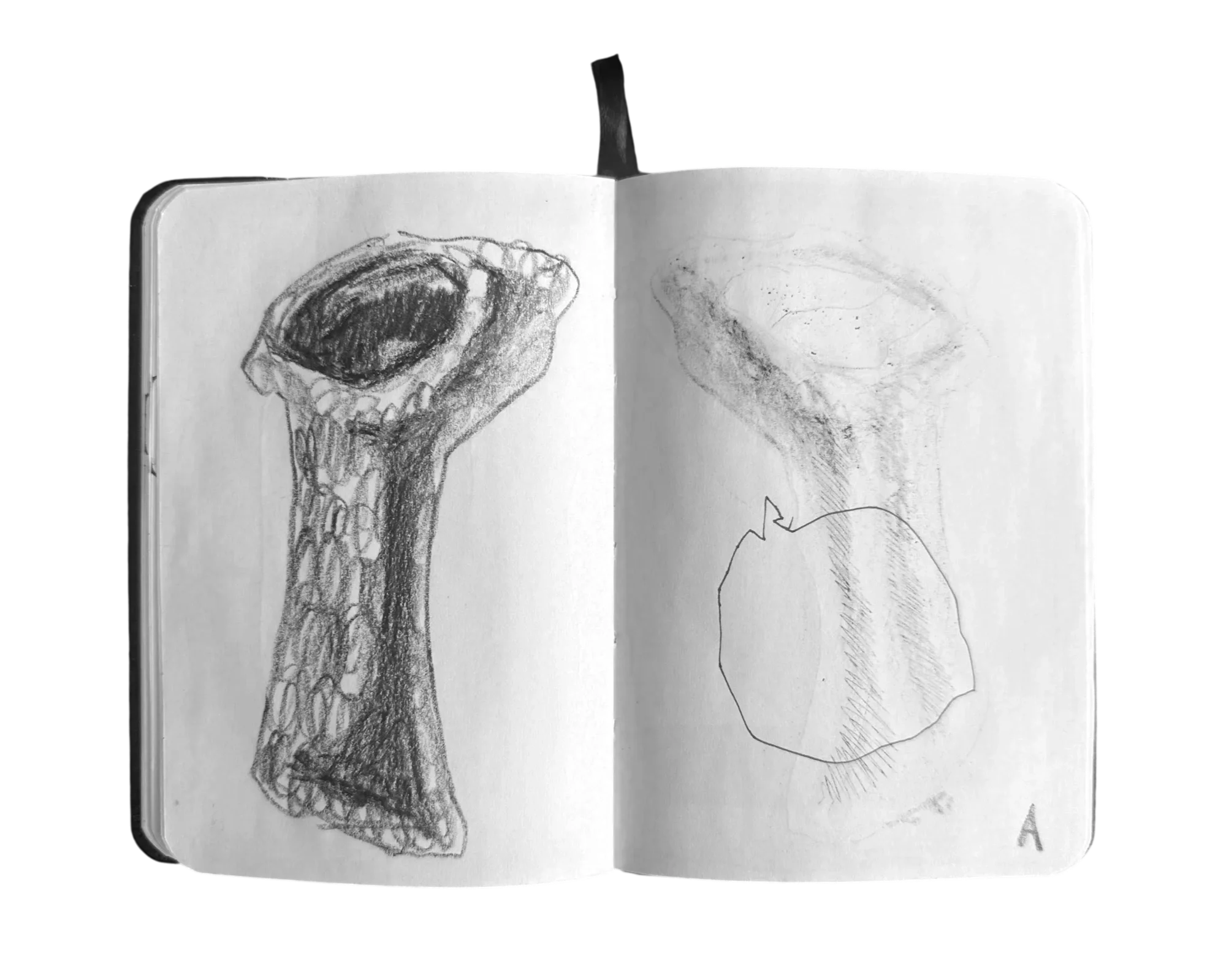 JLSB-2022-1.14+STUPID+BOOK.webp
