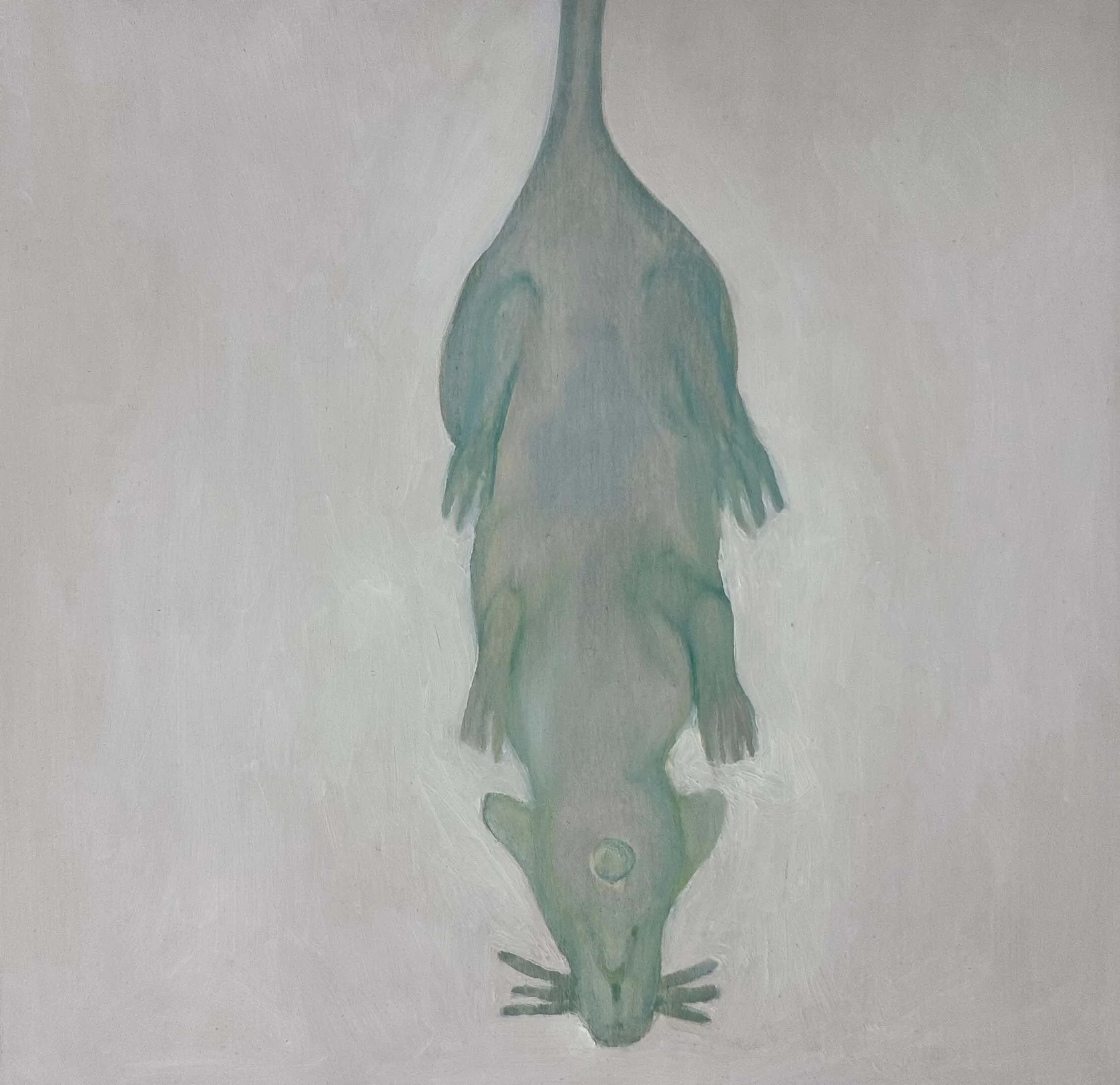 "Plagerig"
30 x 30 cm
Oil on wooden pannel