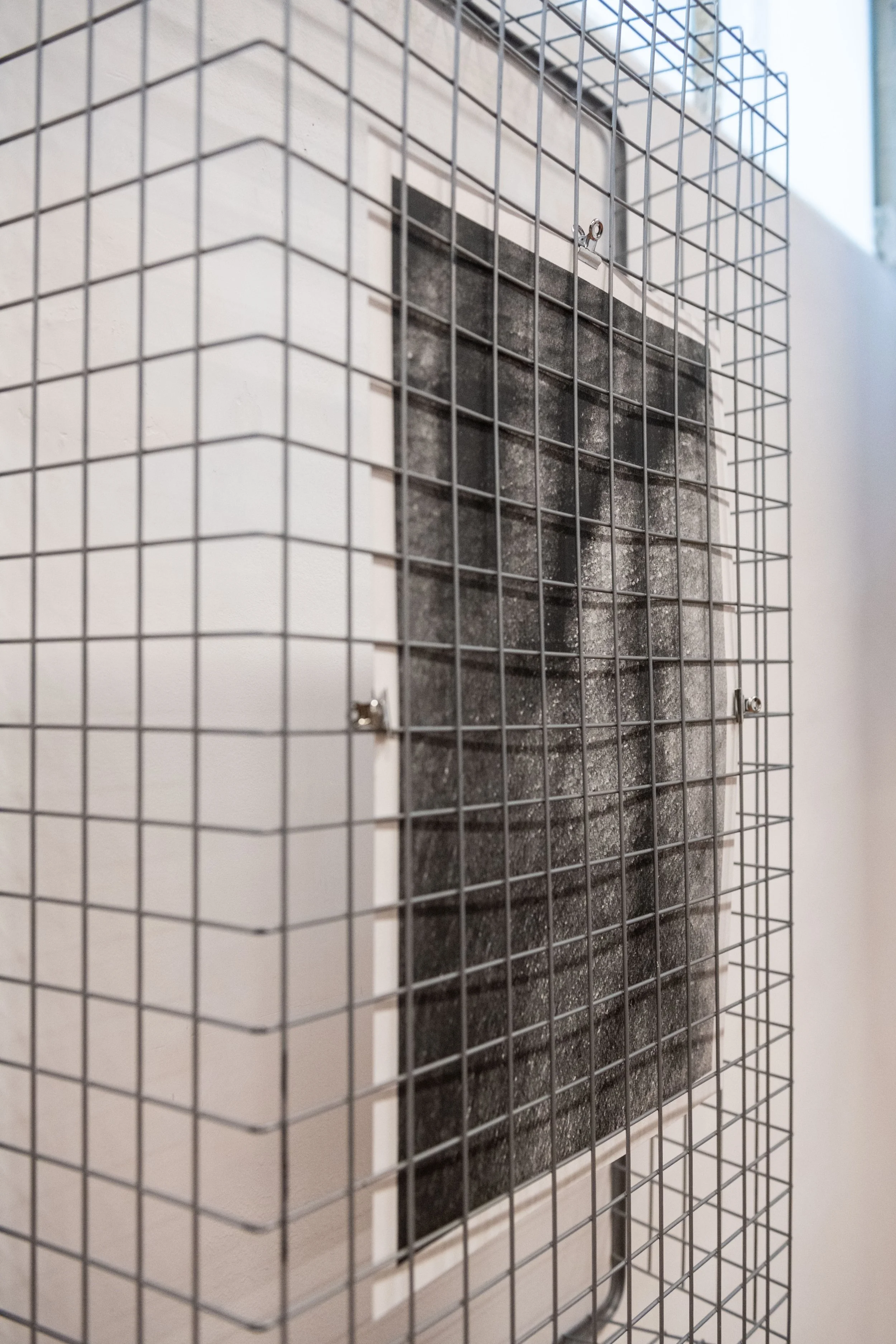 Janneke Leenders
“My House Is A Cell In Your Body”
Picture printed on artistic paper clipped to a metal gridded structure
50 x 120 cm
2024