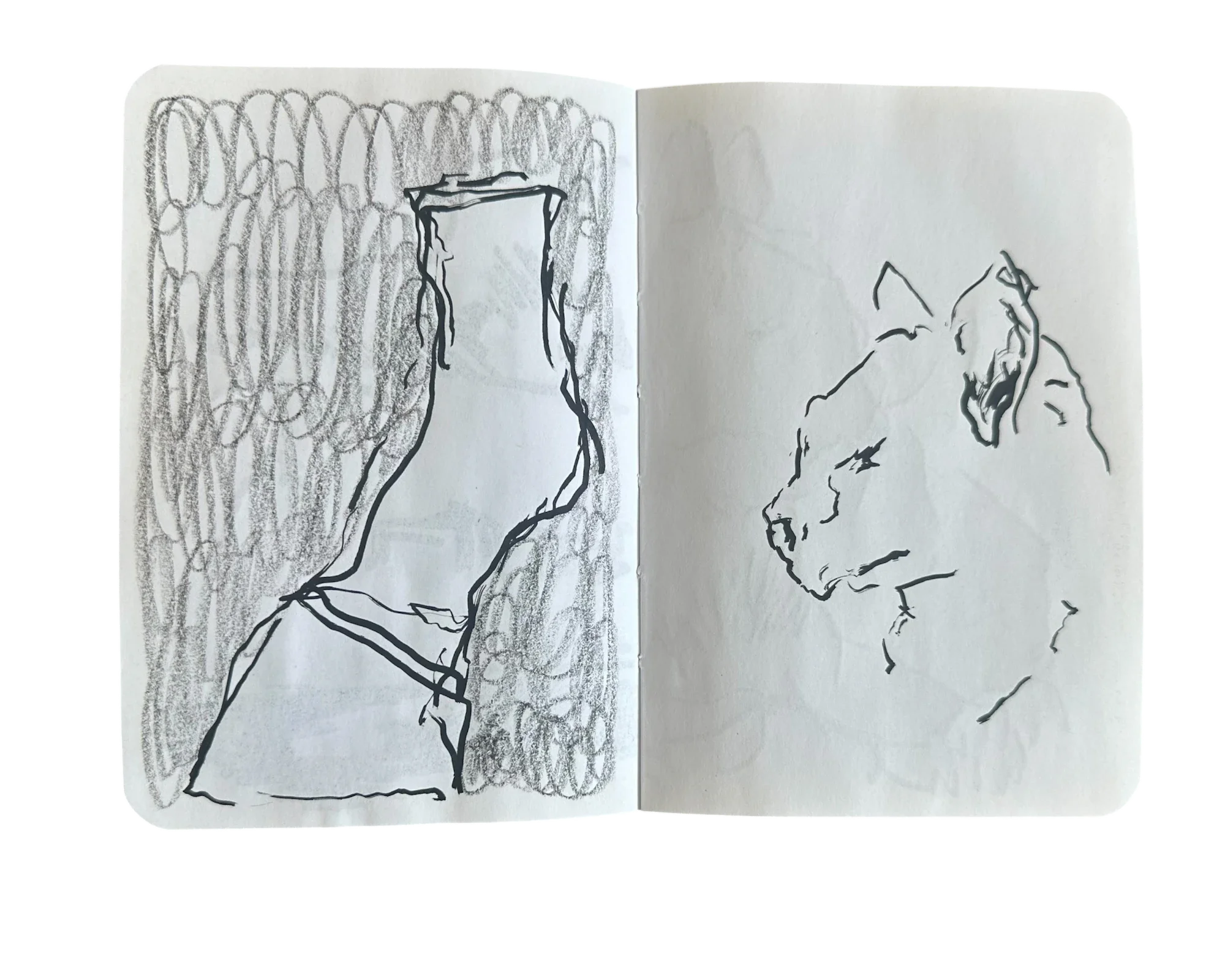 JLSB-2022-1.18 STUPID BOOK.webp