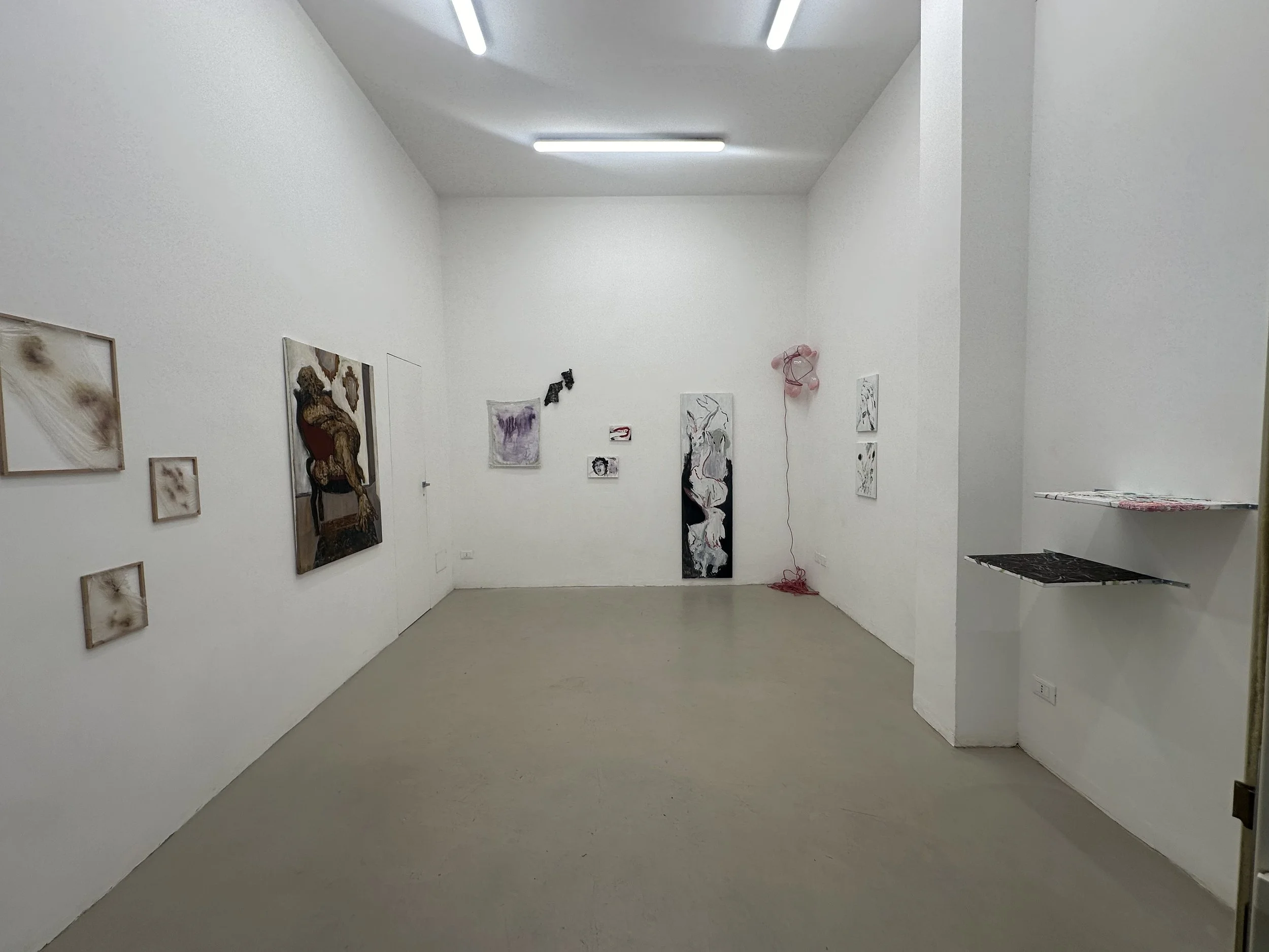 Installation view
