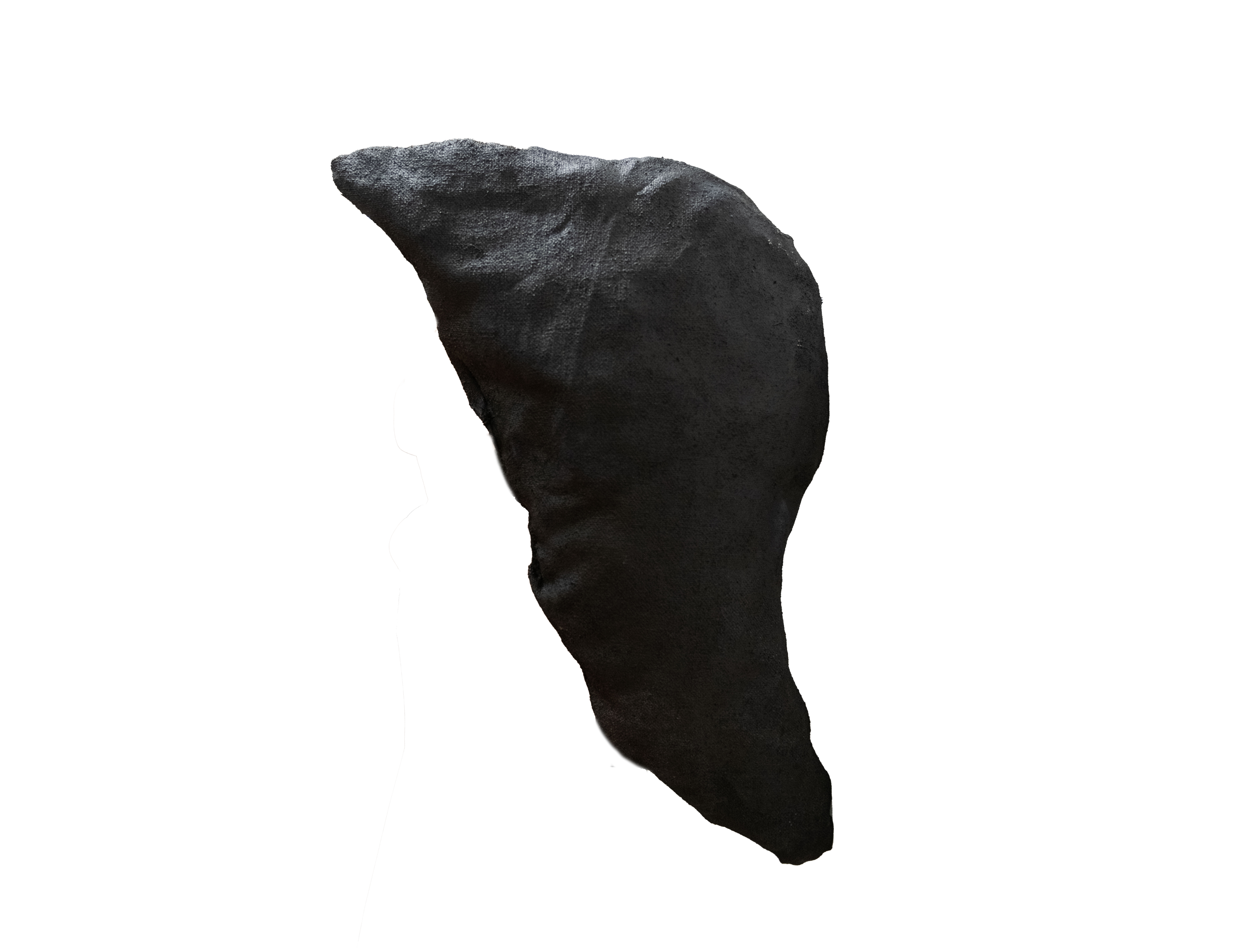 Mixed media sculpture called STRAIN, talking about  far a human can relate to a form once its liveliness has been abstracted. The work takes the shape of an enlarged liver, removed from its biological function