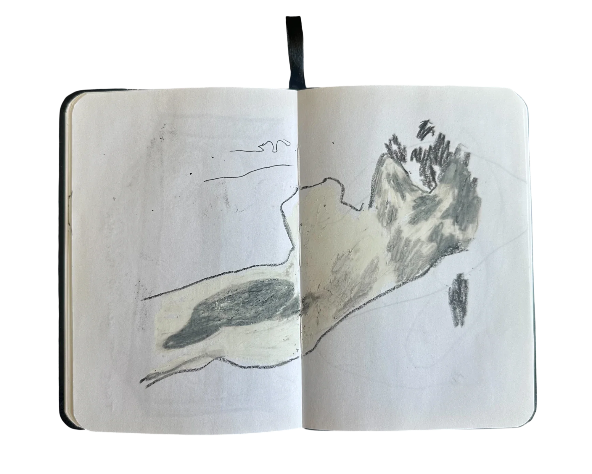 JLSB-2022-1.12 STUPID BOOK.webp
