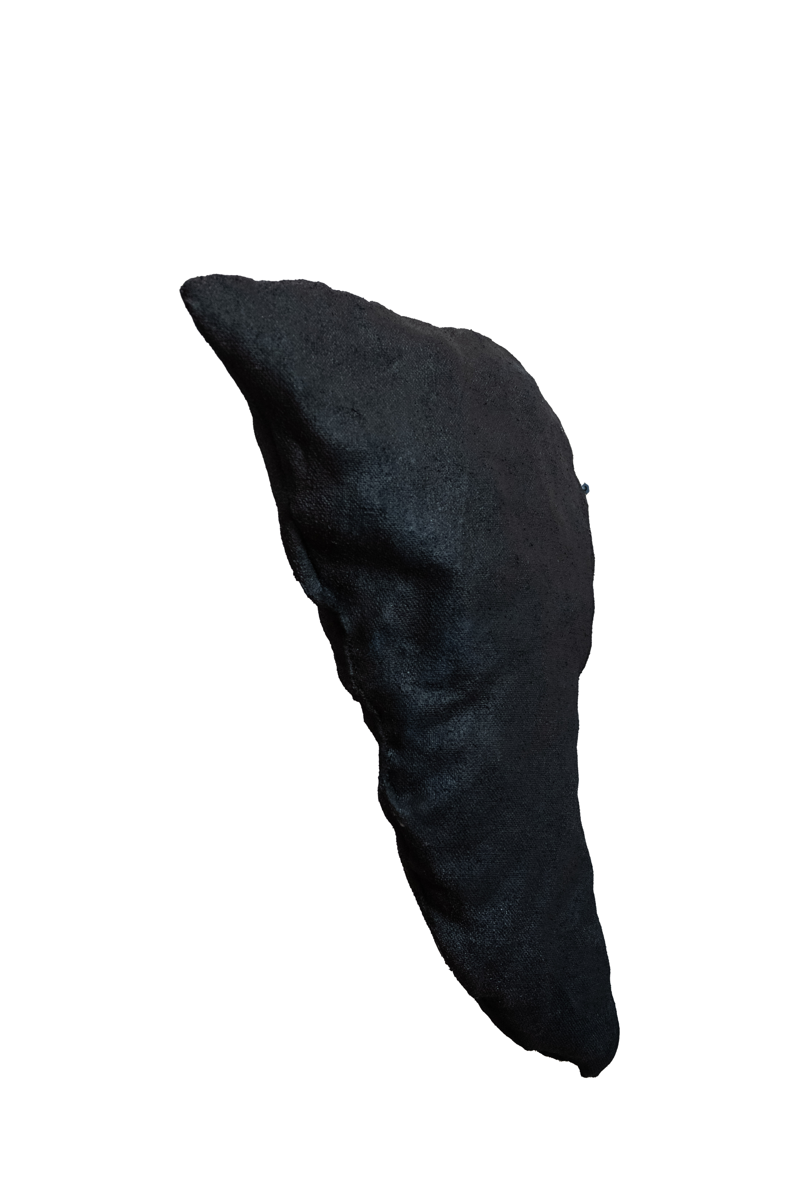 07.10.24_tau_rolando_alta_009 copy.png